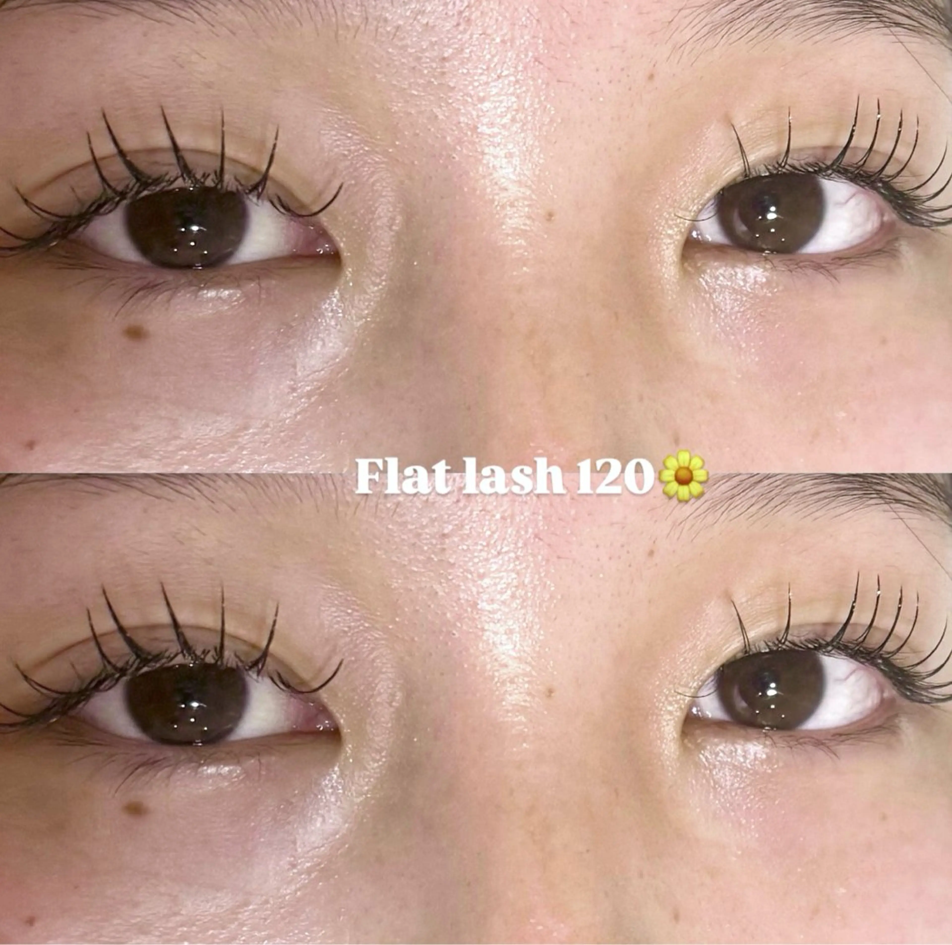 マツエク・マツパ フラットラッシュ オヤユビヒメ 新田辺店のマツエク・マツパデザイン