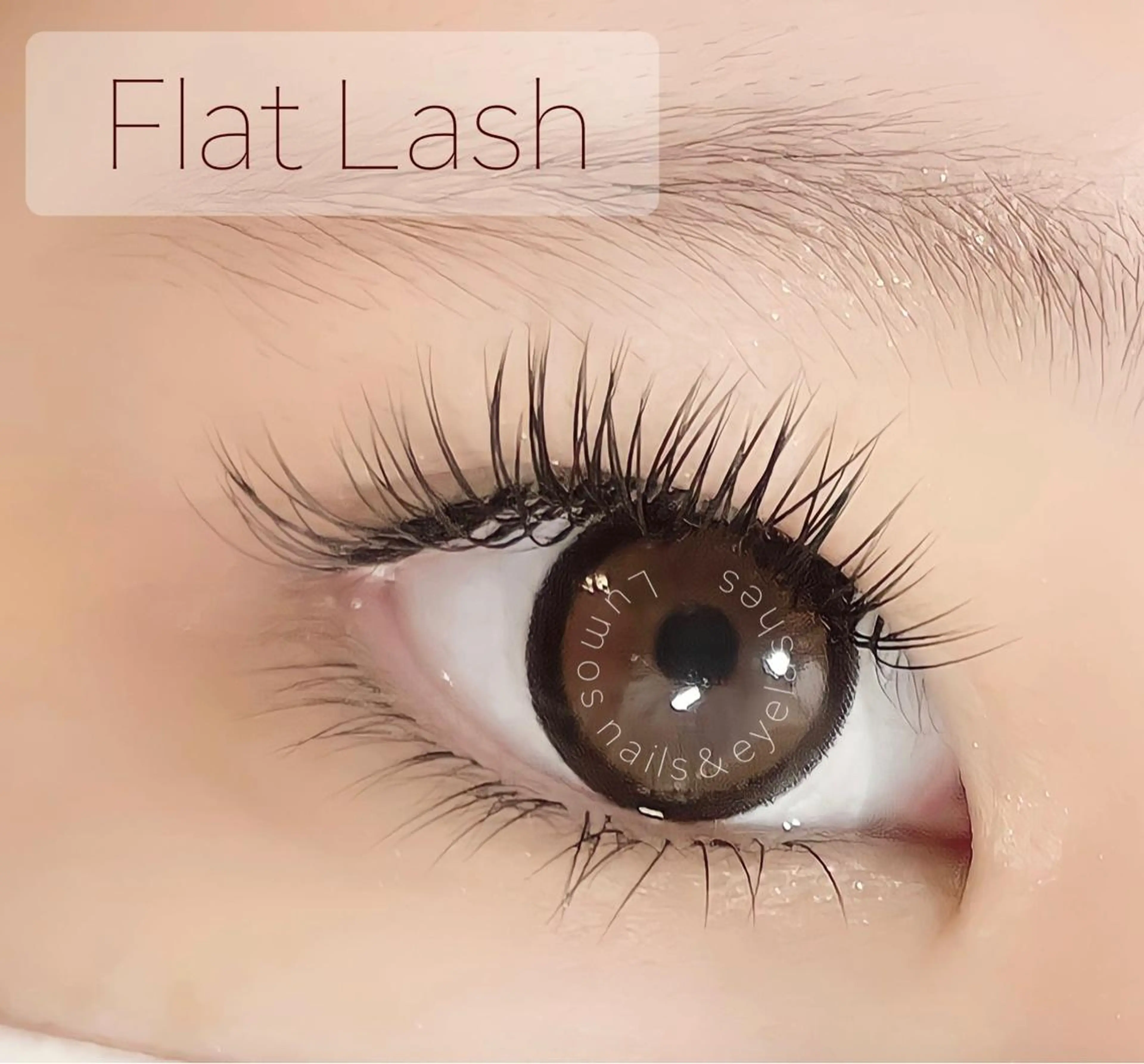 マツエク・マツパ フラットラッシュ マツエク Lumos Ayakaのマツエク・マツパデザイン