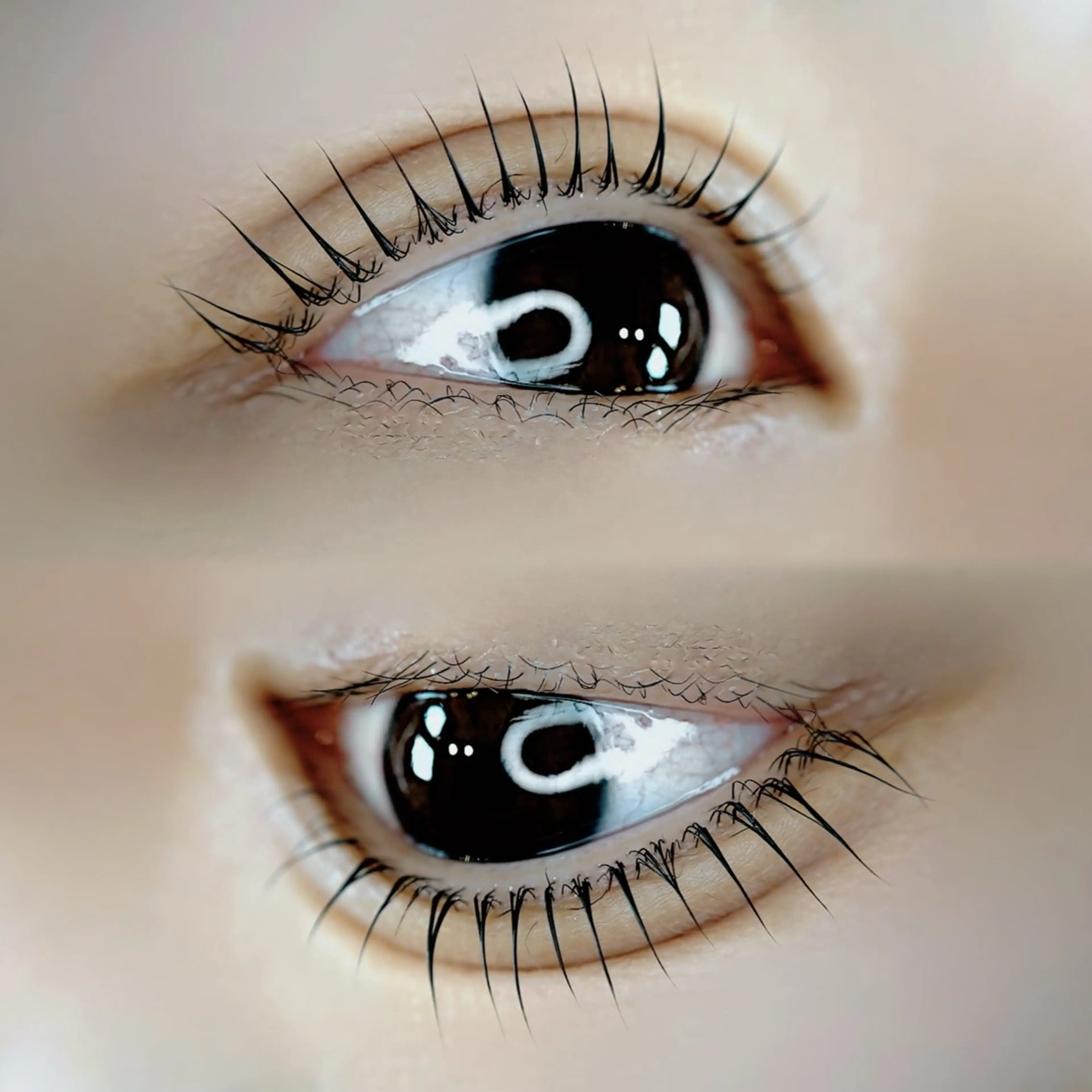 🌿ナチュラルまつ毛パーマ🌿（90分／カウンセリング込）の写真