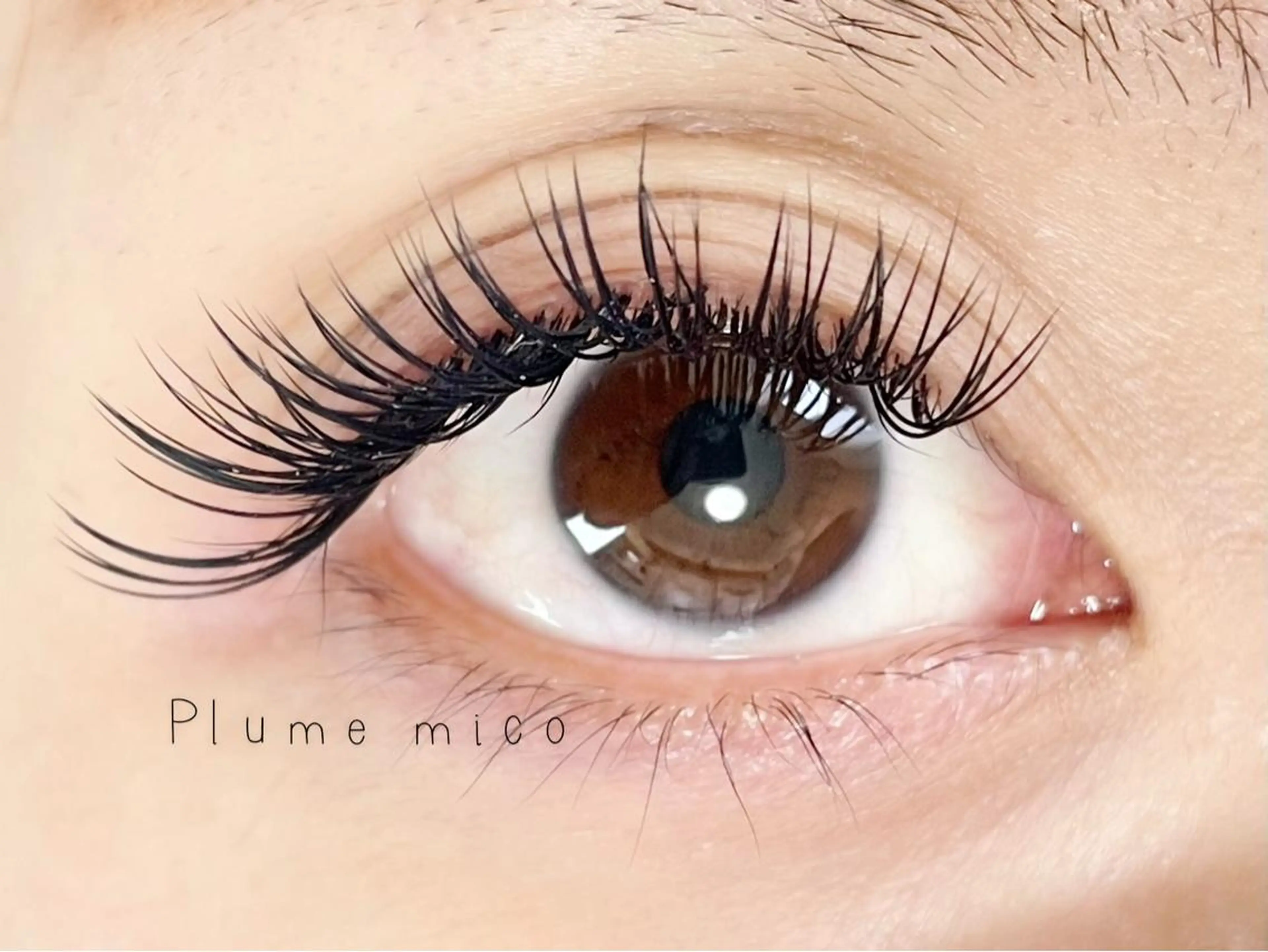 マツエク・マツパ マツエク Plume micoのマツエク・マツパデザイン