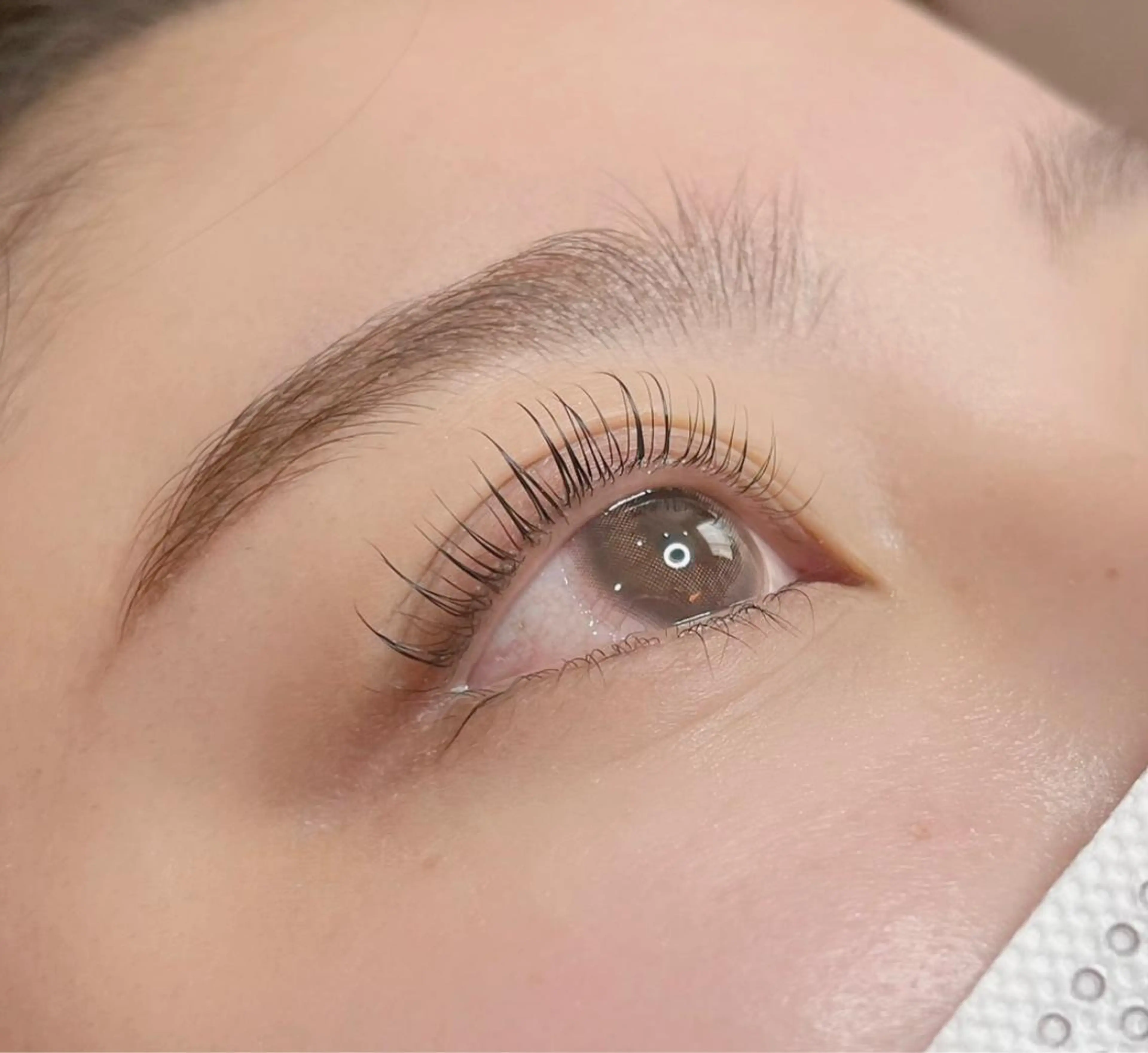 【一番人気🌷】ご新規様限定価格◎次世代上まつげパーマ（ラッシュリフト）+保湿トリートメントの写真