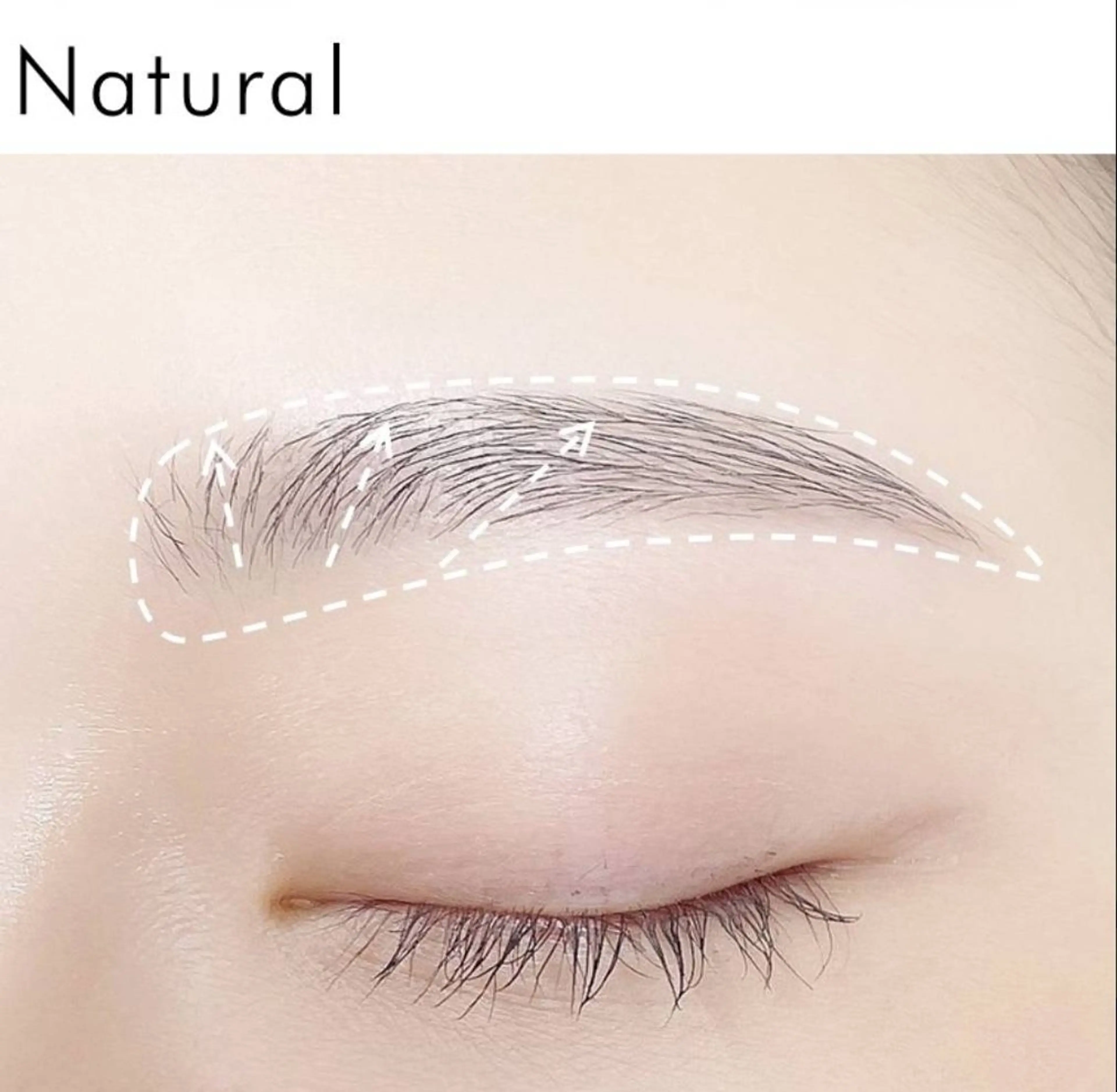 アイブロウ sasaki shinjuの眉毛・アイブロウイメージ