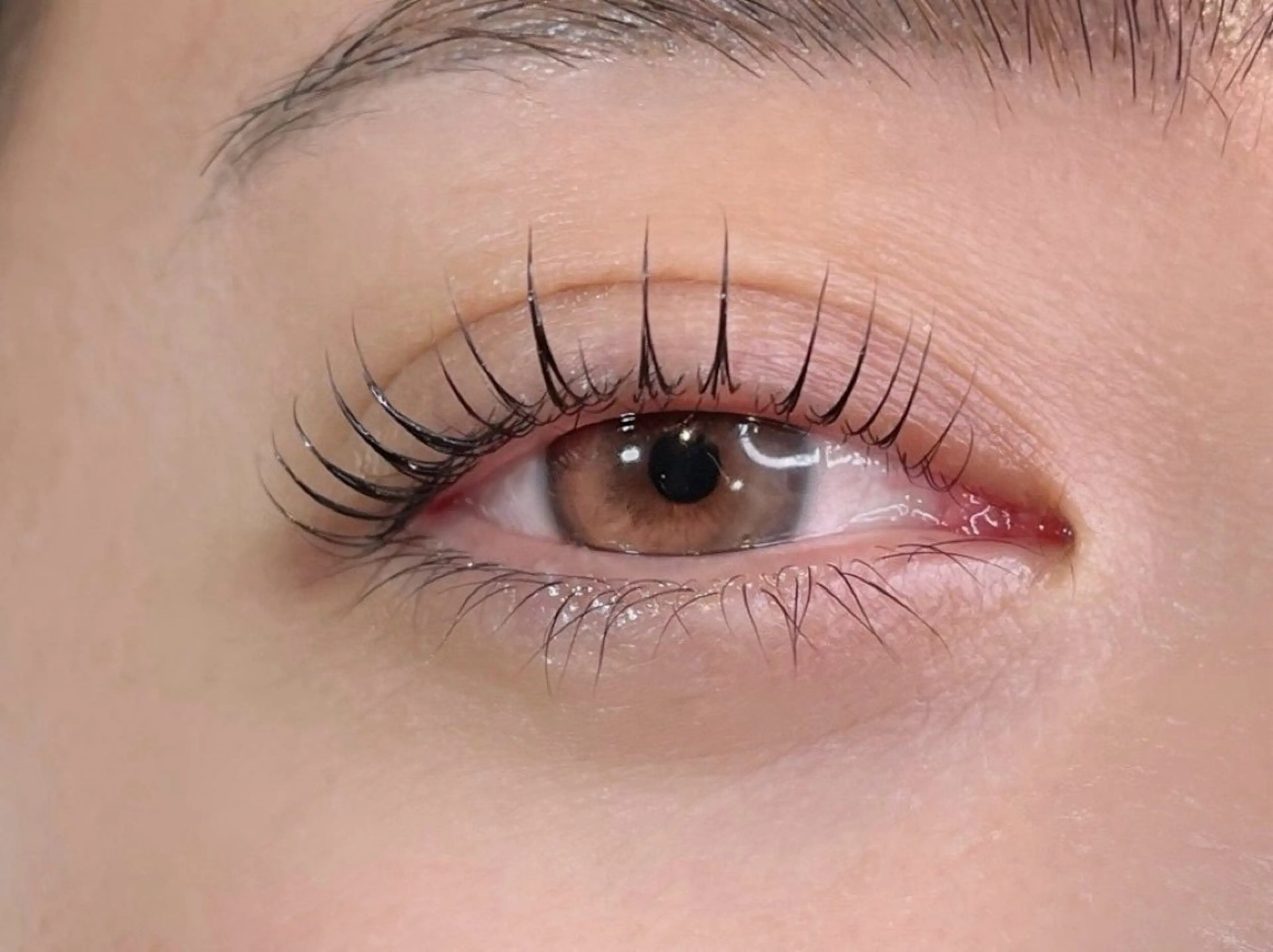 マツエク・マツパ まつ毛パーマ/眉毛 🩶MACOTOのマツエク・マツパデザイン