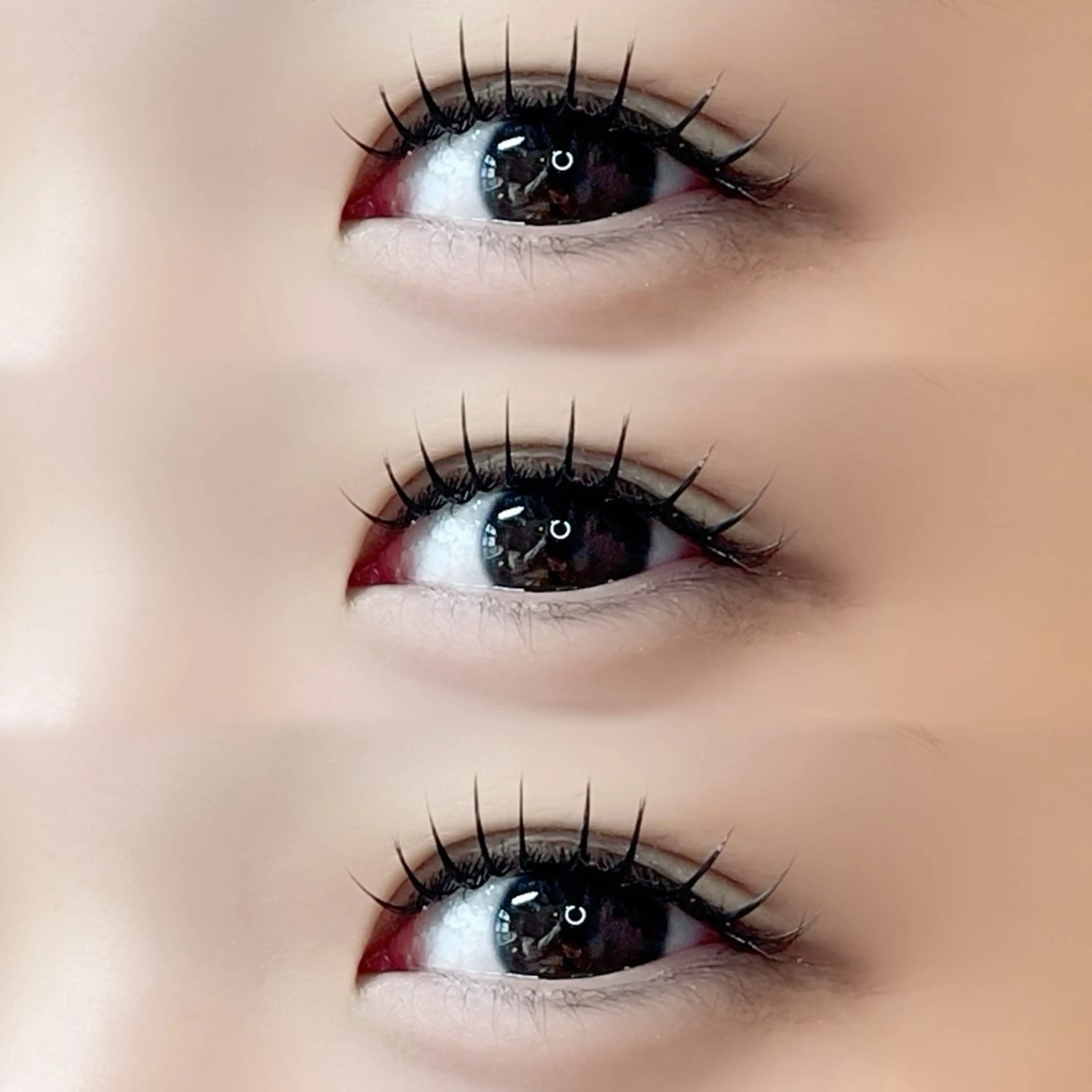 【4/21限定】🌺フラットラッシュ100本🌺※本数追加可能⭕️の写真