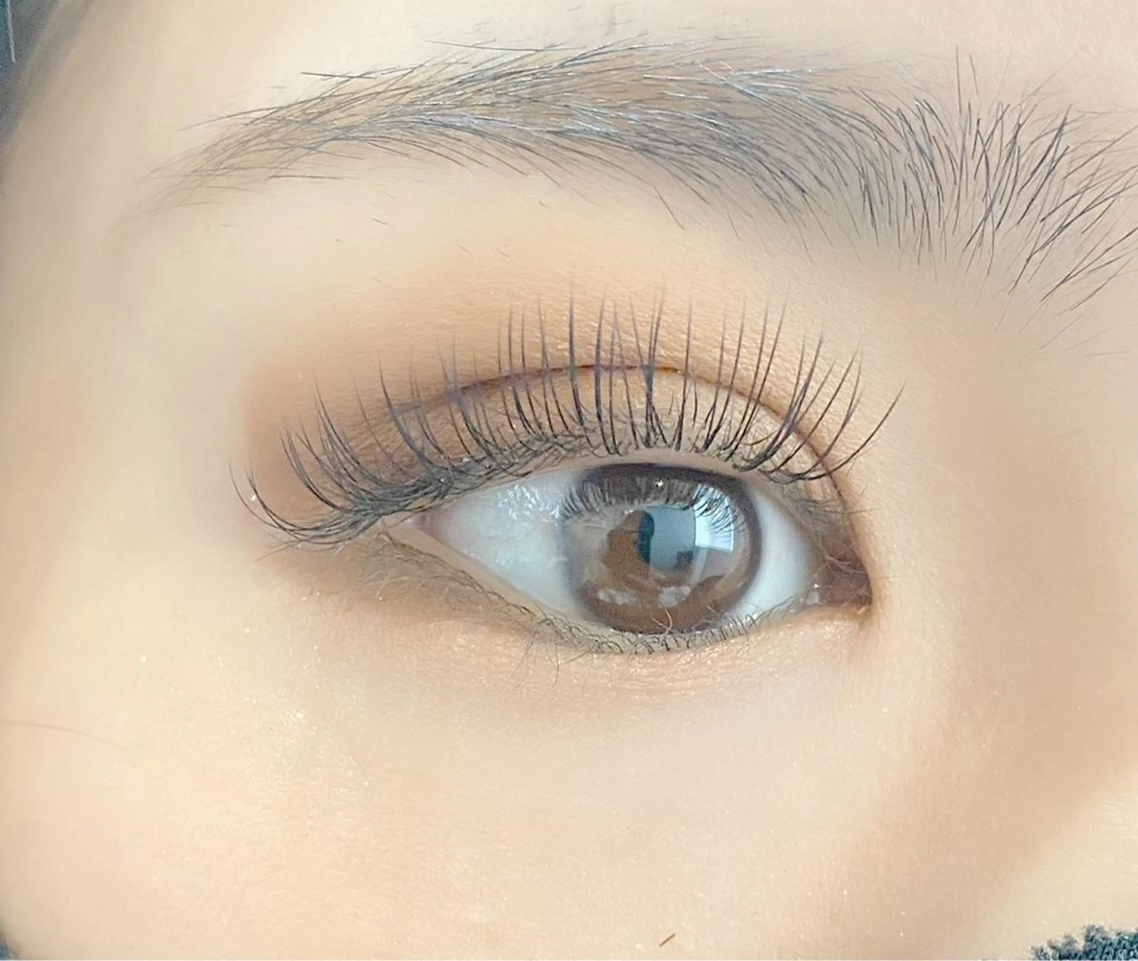 マツエク・マツパ フラットラッシュ eyelash "Koa"🕊🤎のマツエク・マツパデザイン