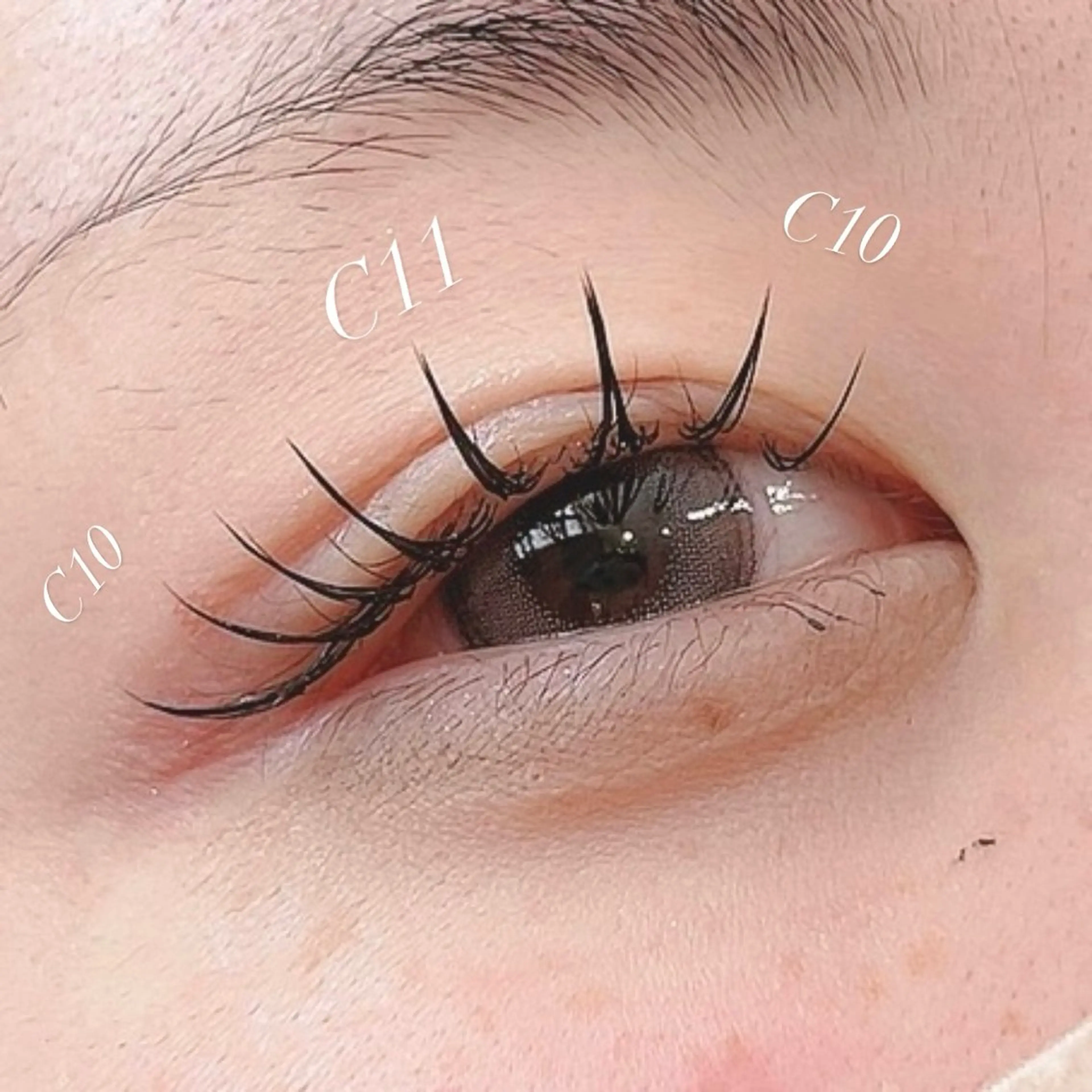 【平日限定】フラットラッシュ100本¥5500💕の写真