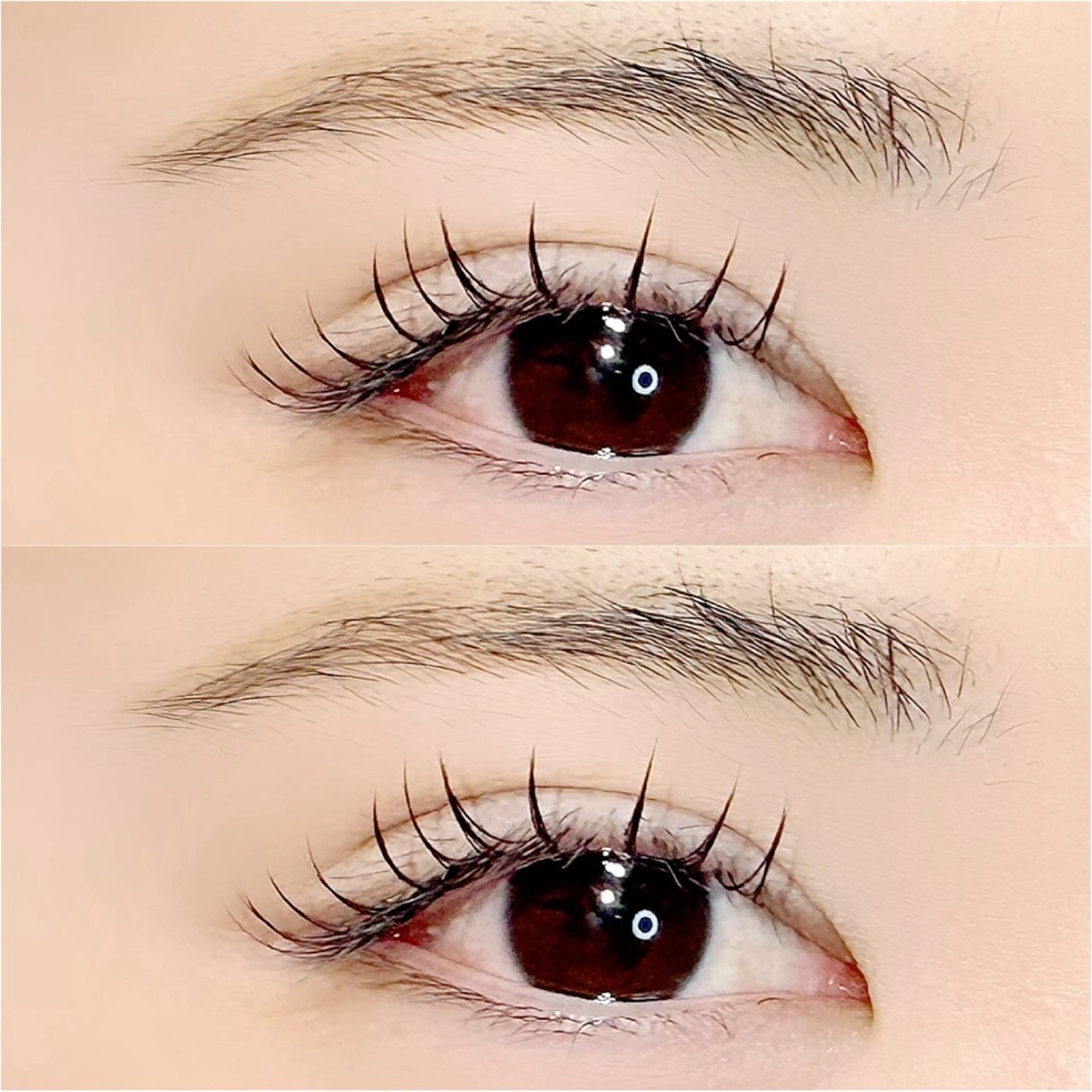 フラットラッシュ(マツエク)🍀 ぱっちりまつ毛 120まで付け放題 オフ込み+アイシャンプー付き🫧の写真