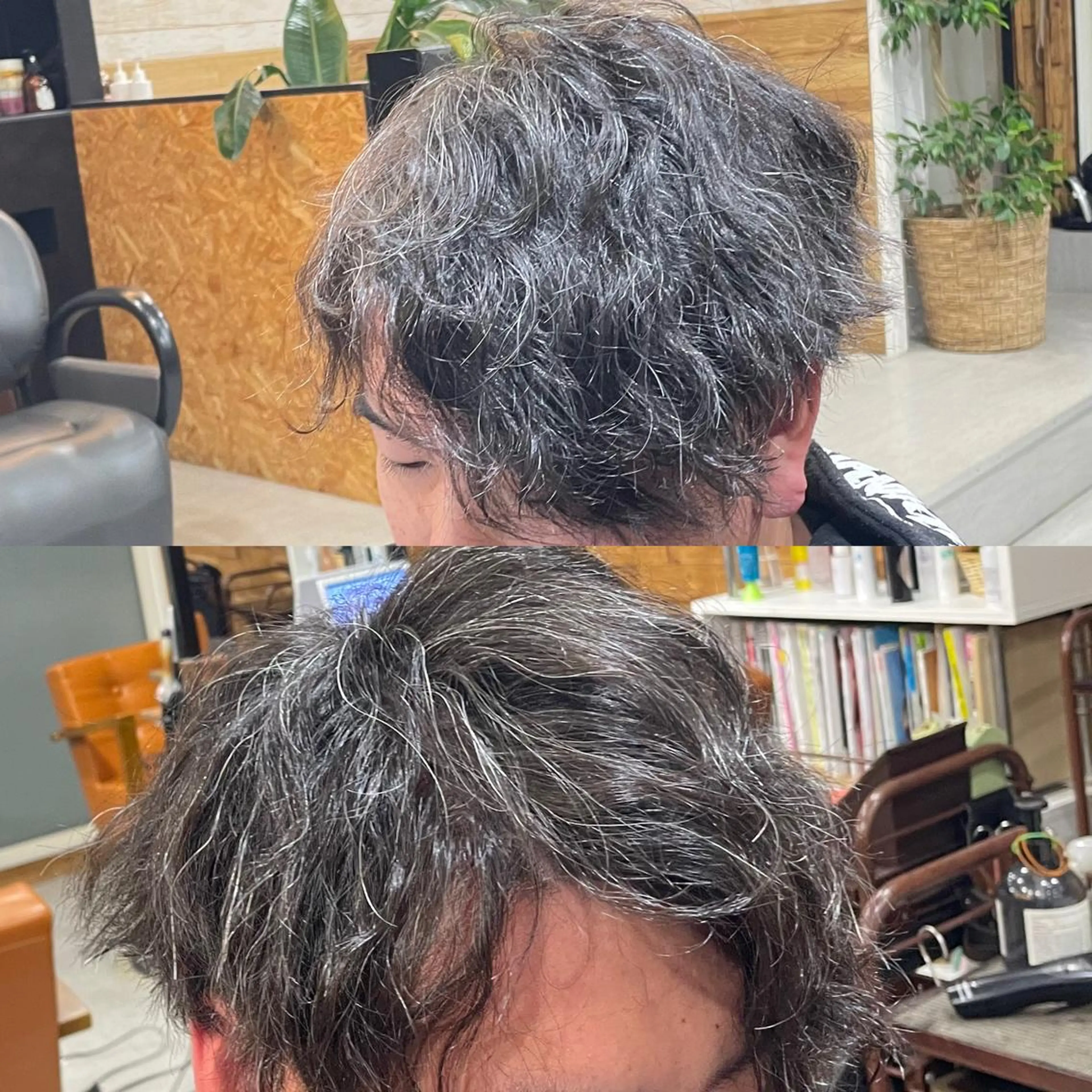 ショート メンズ マッシュ メンズパーマ 刈り上げ かんばら りょーいのヘアスタイル