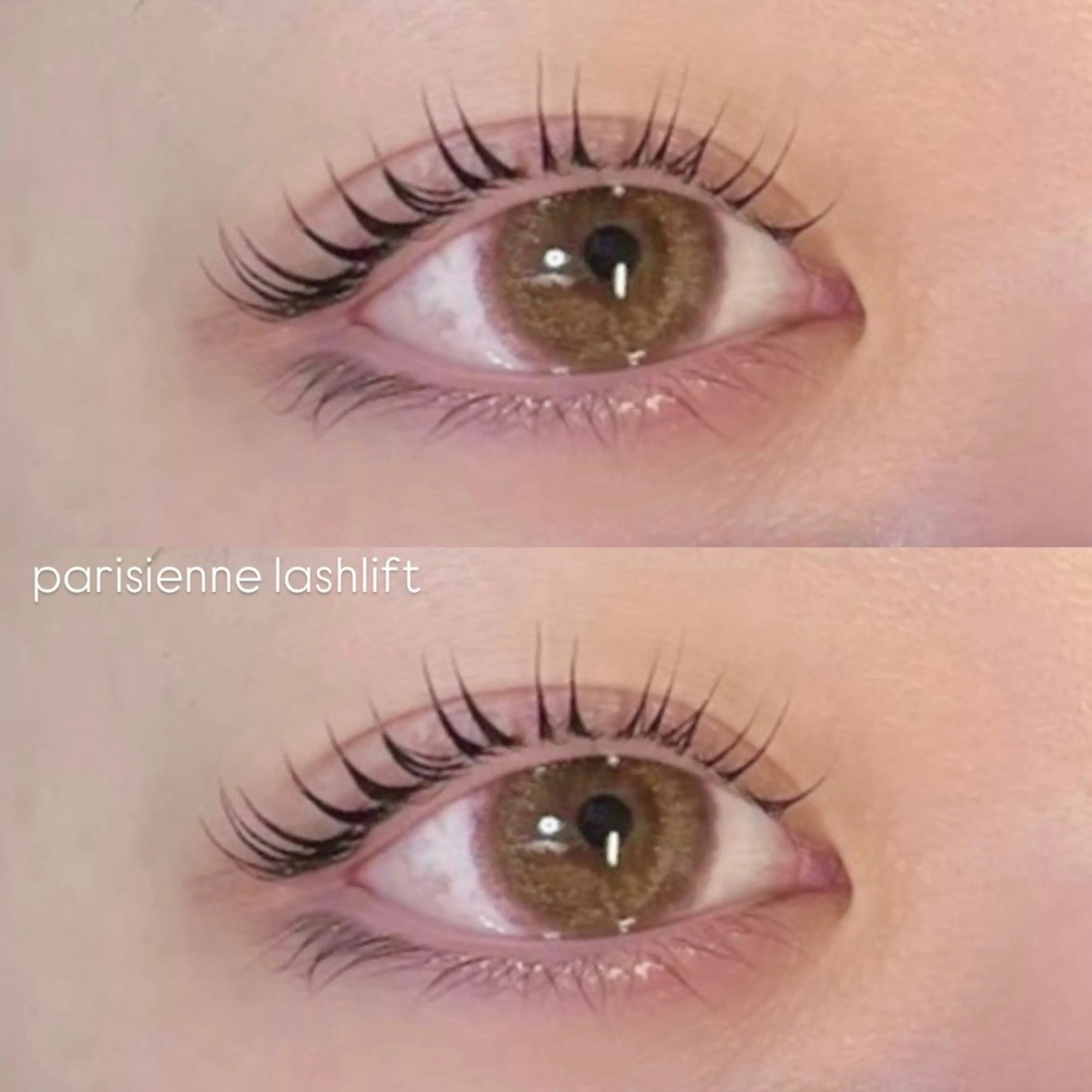 マツエク・マツパ パリジェンヌラッシュリフト マツパ Plus Elima / rioのマツエク・マツパデザイン