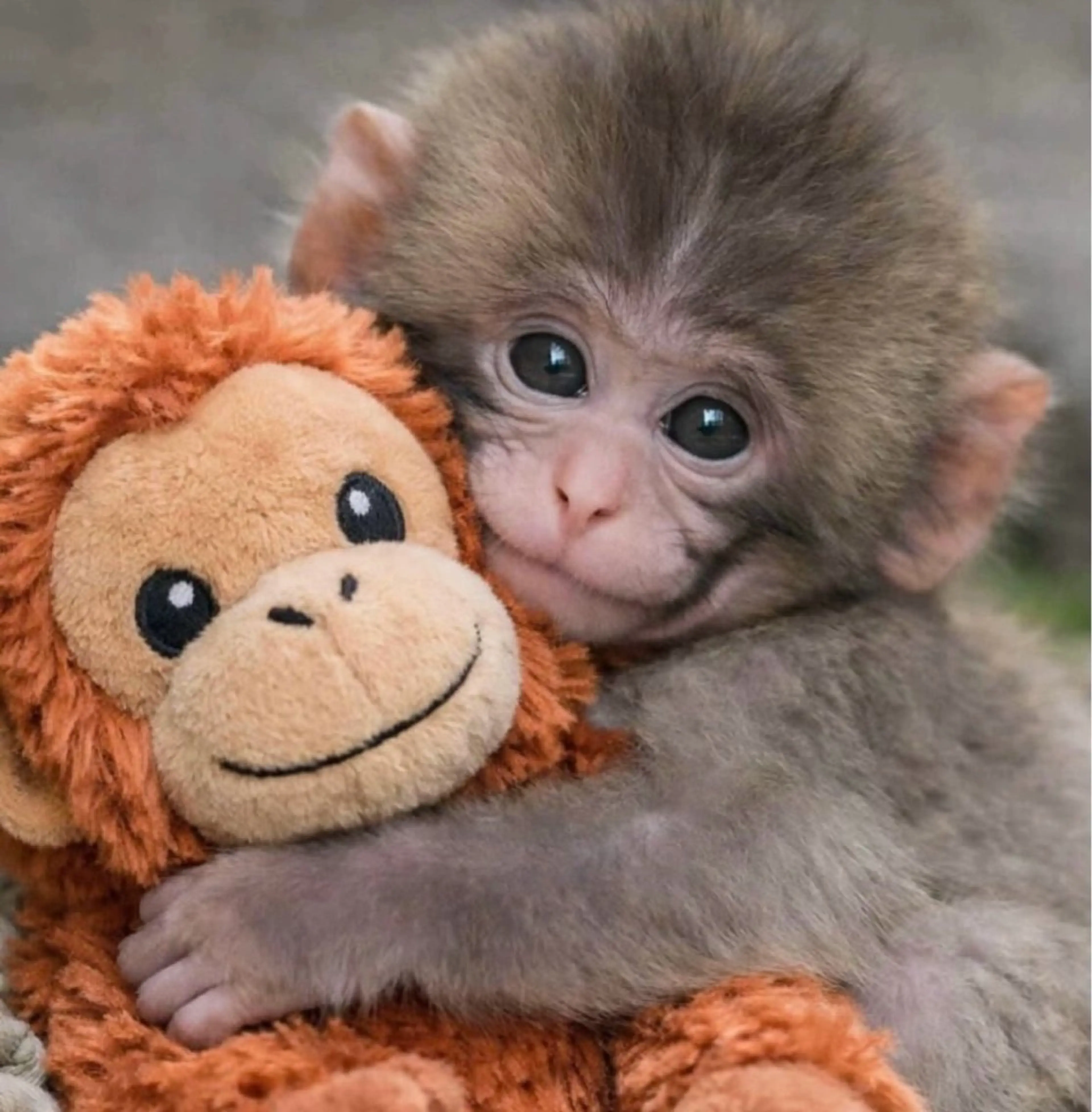 トータルビューティー サロン・Ｎの眉毛・アイブロウイメージ