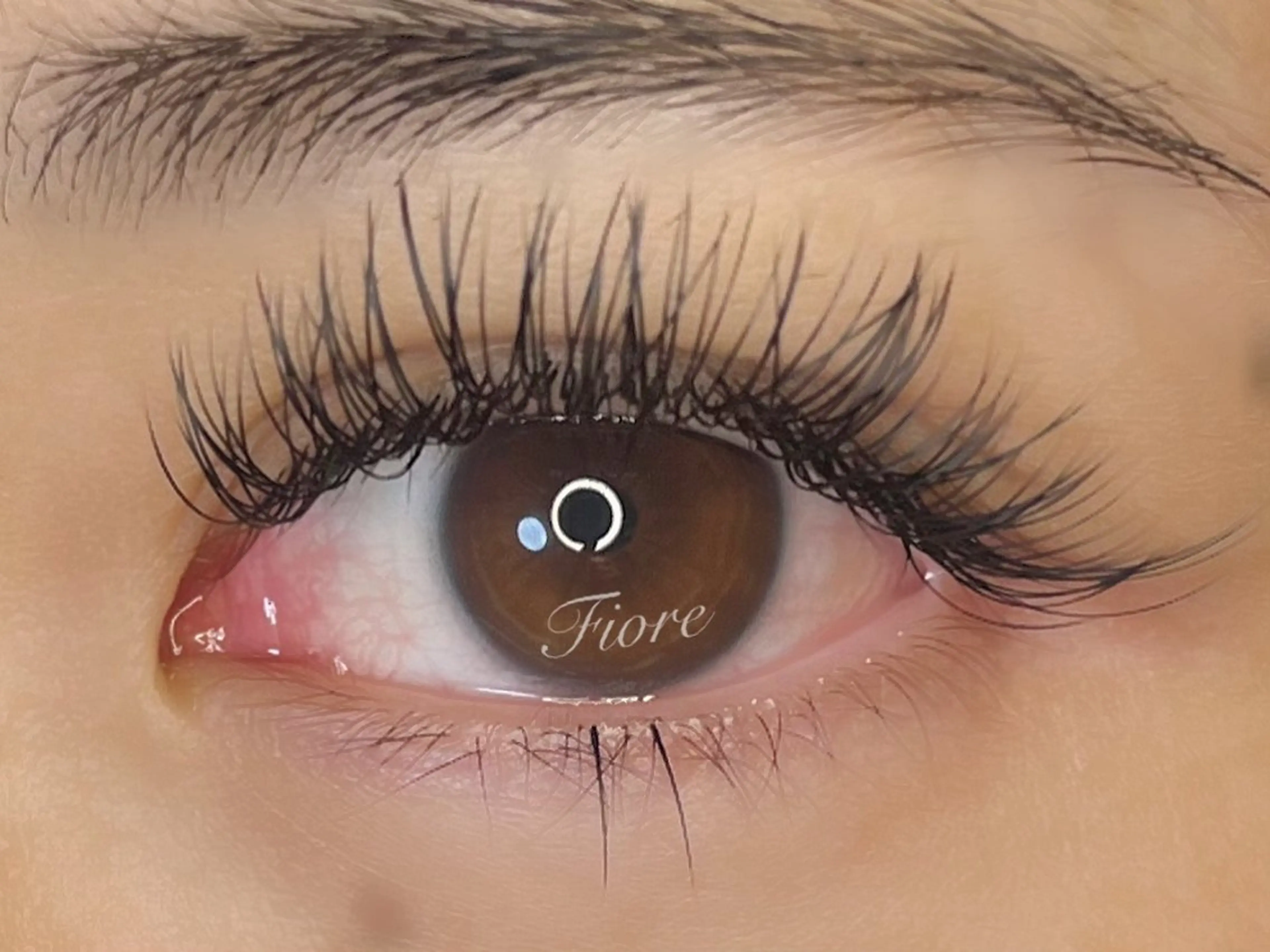 マツエク・マツパ マツエク eyelashsalon フィオーレ所属・eyelash salonフィオーレのマツエク・マツパデザイン