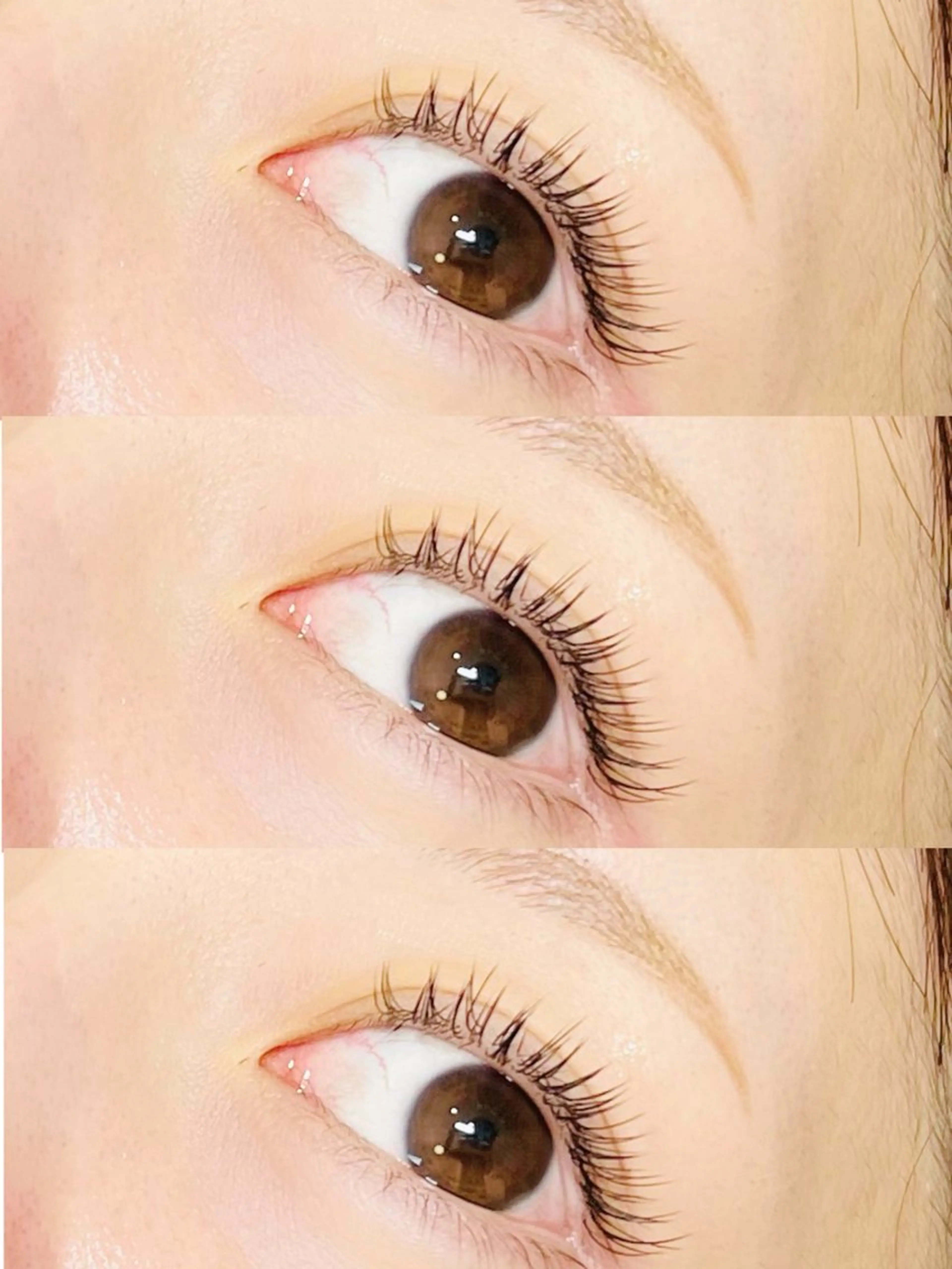 他店オフ込/フラットマットラッシュ100本の写真