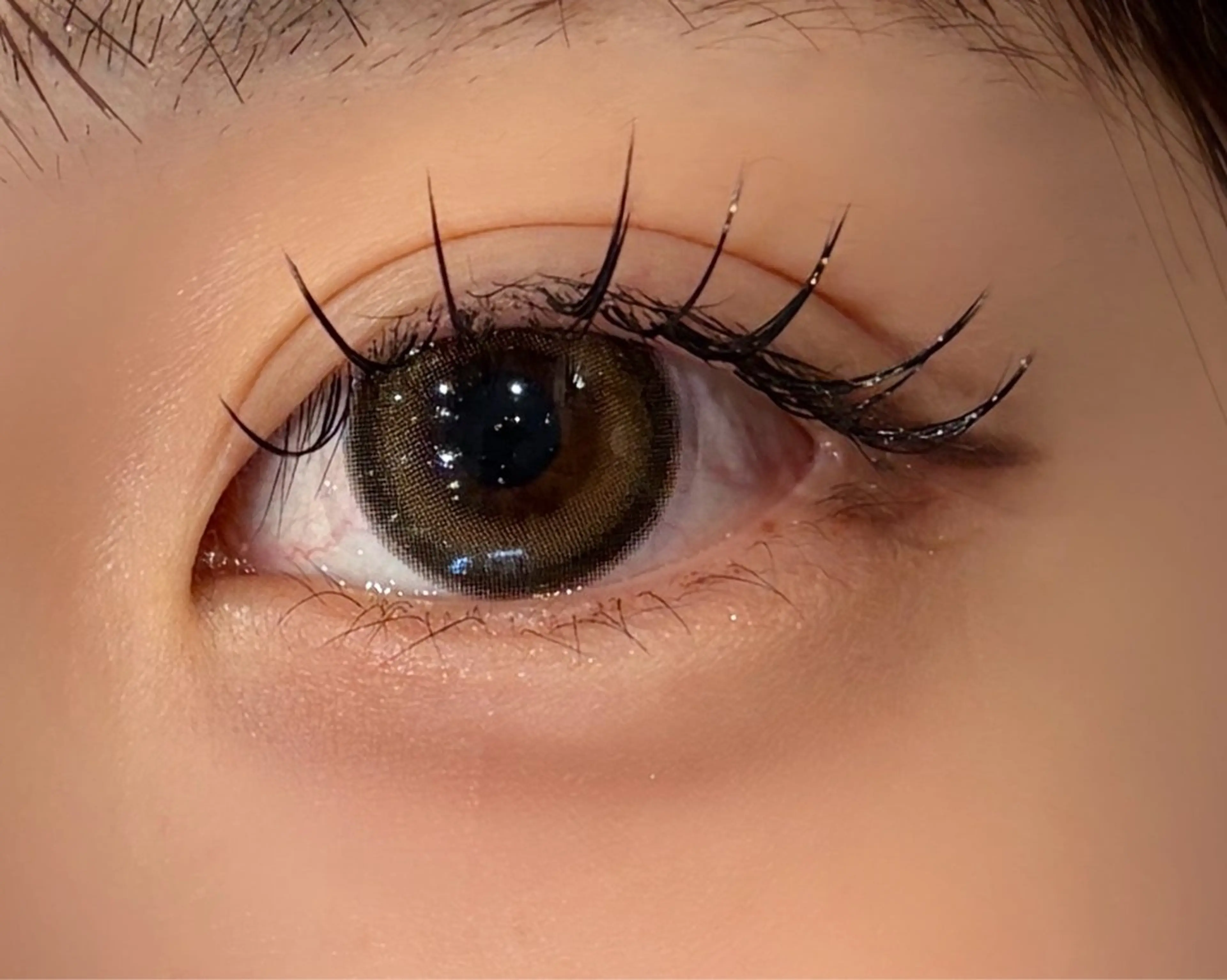 マツエク・マツパ Cカール キュート セーブル Olivia 高尾🐈⬛🎀のマツエク・マツパデザイン