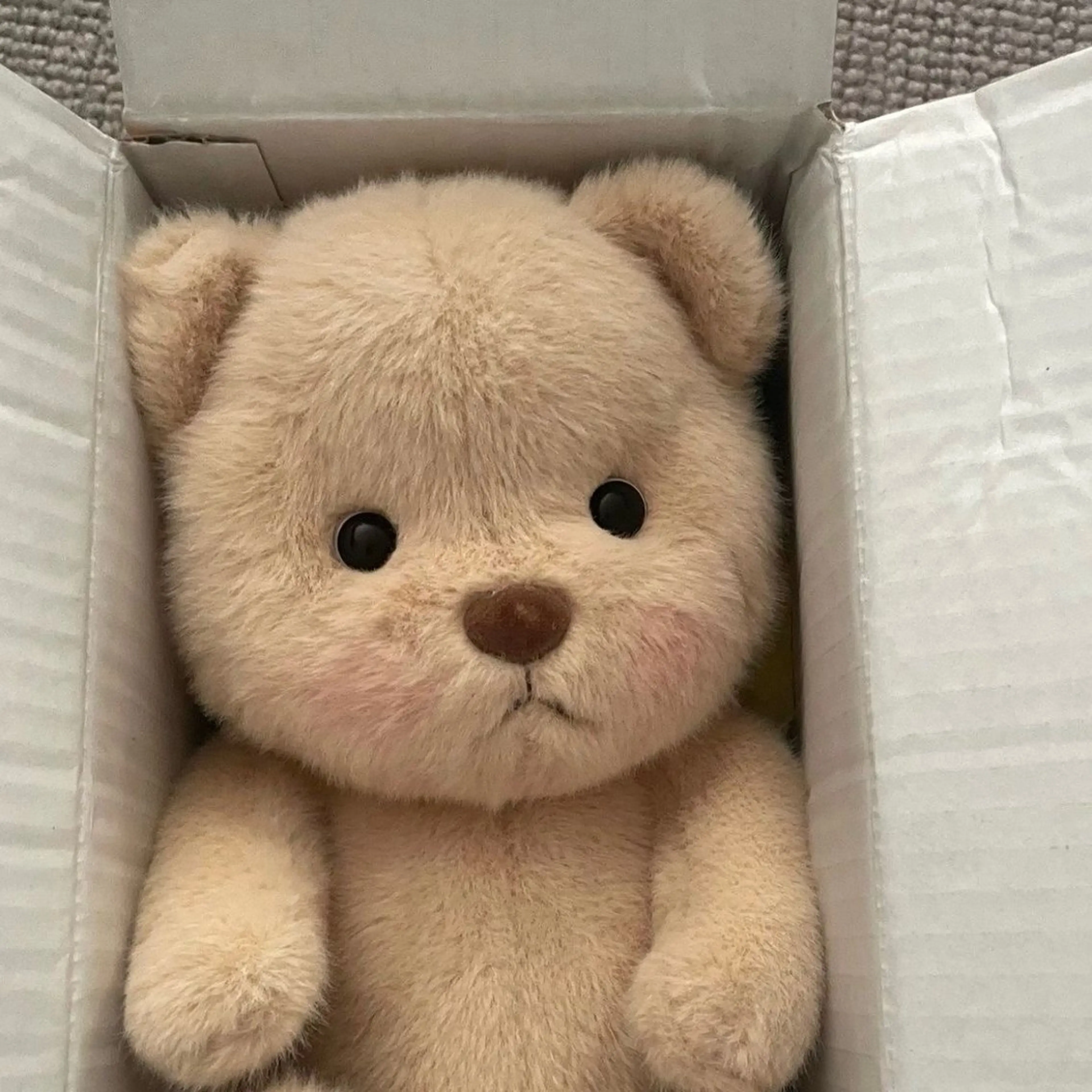 shiho .のヘアスタイル