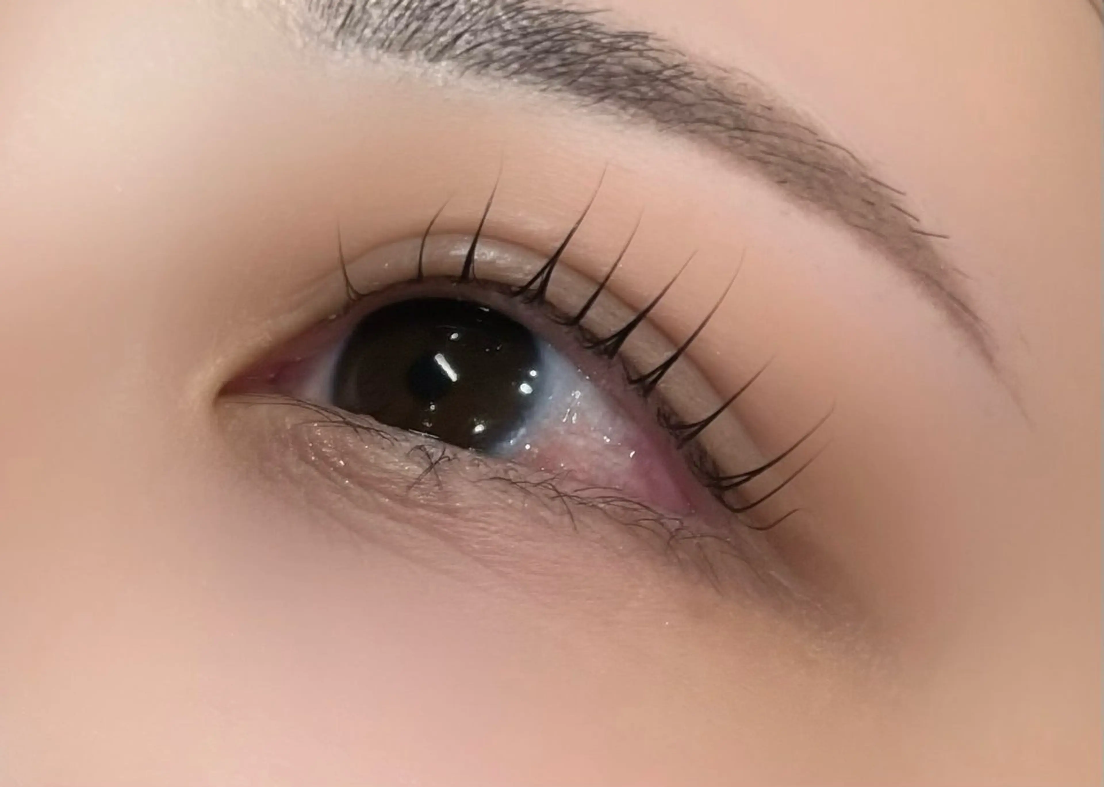 🌻上まつげパーマ🪽パリジェンヌ4/7限定の写真