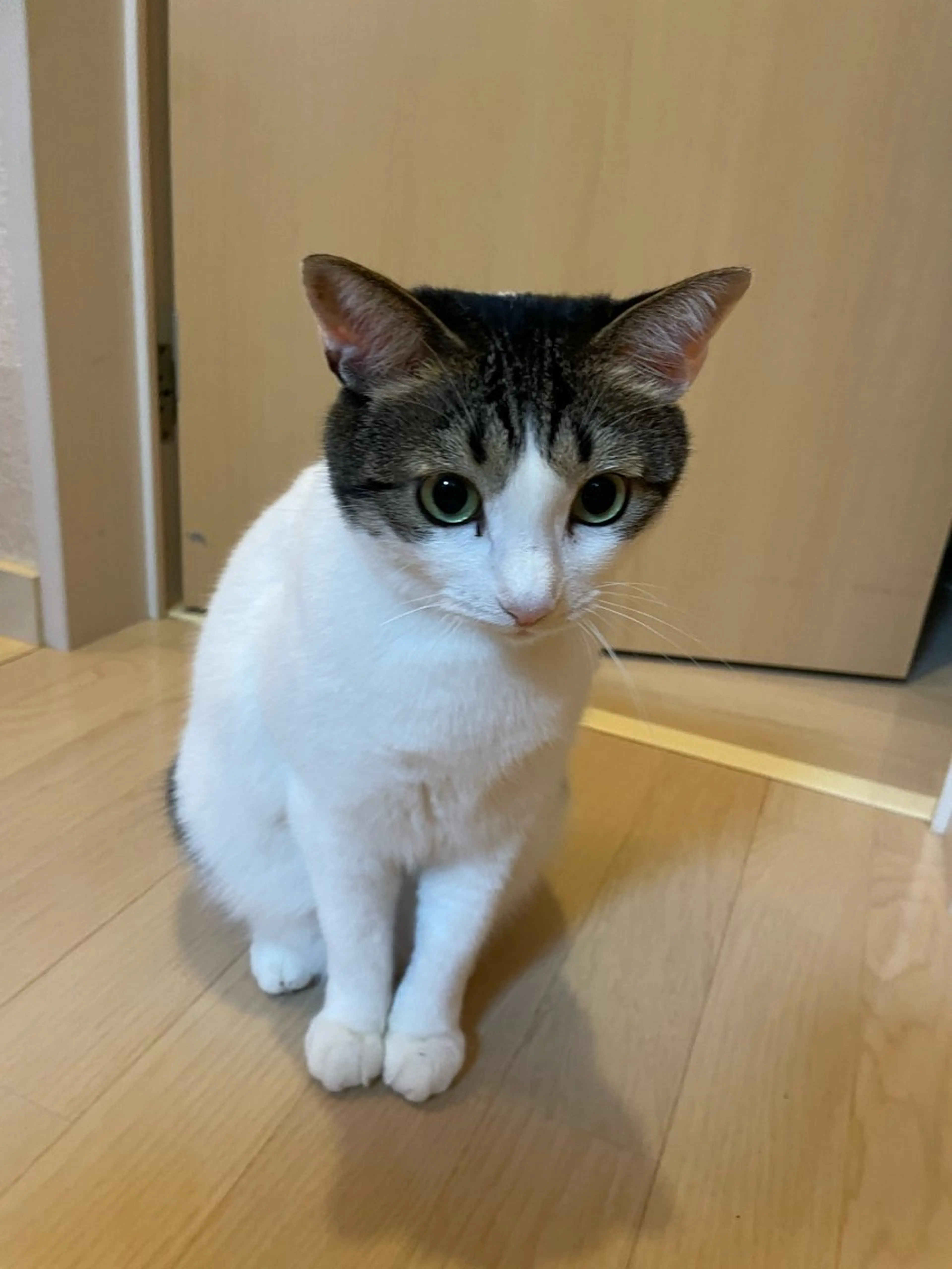 ネイル misun_ nailのネイルデザイン