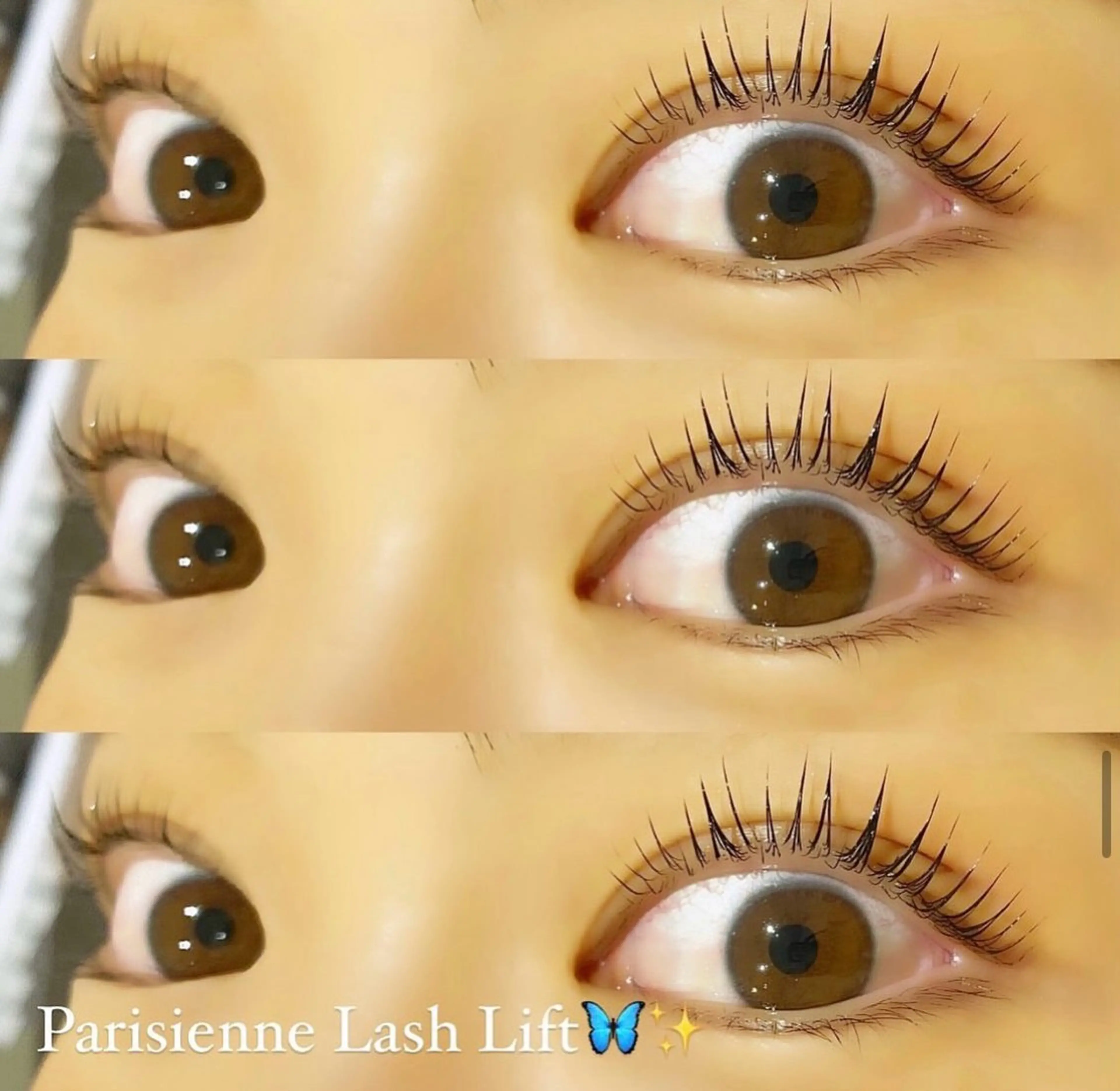 マツエク・マツパ 束感まつ毛/店長 🦋ヒグチのマツエク・マツパデザイン