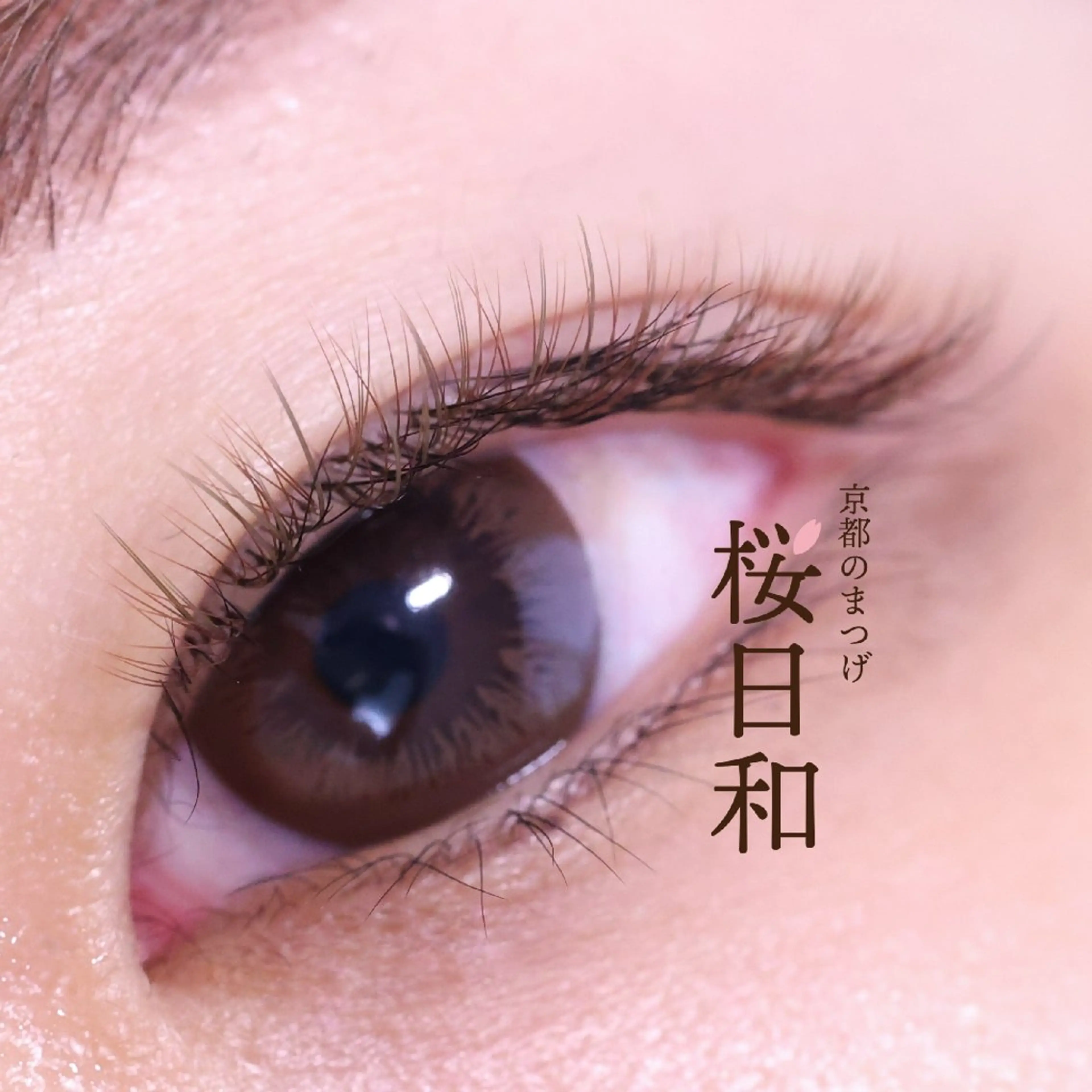 マツエク・マツパ フラットラッシュ セクシー ボリュームラッシュ 京都のまつげ桜日和 小島美桜のマツエク・マツパデザイン