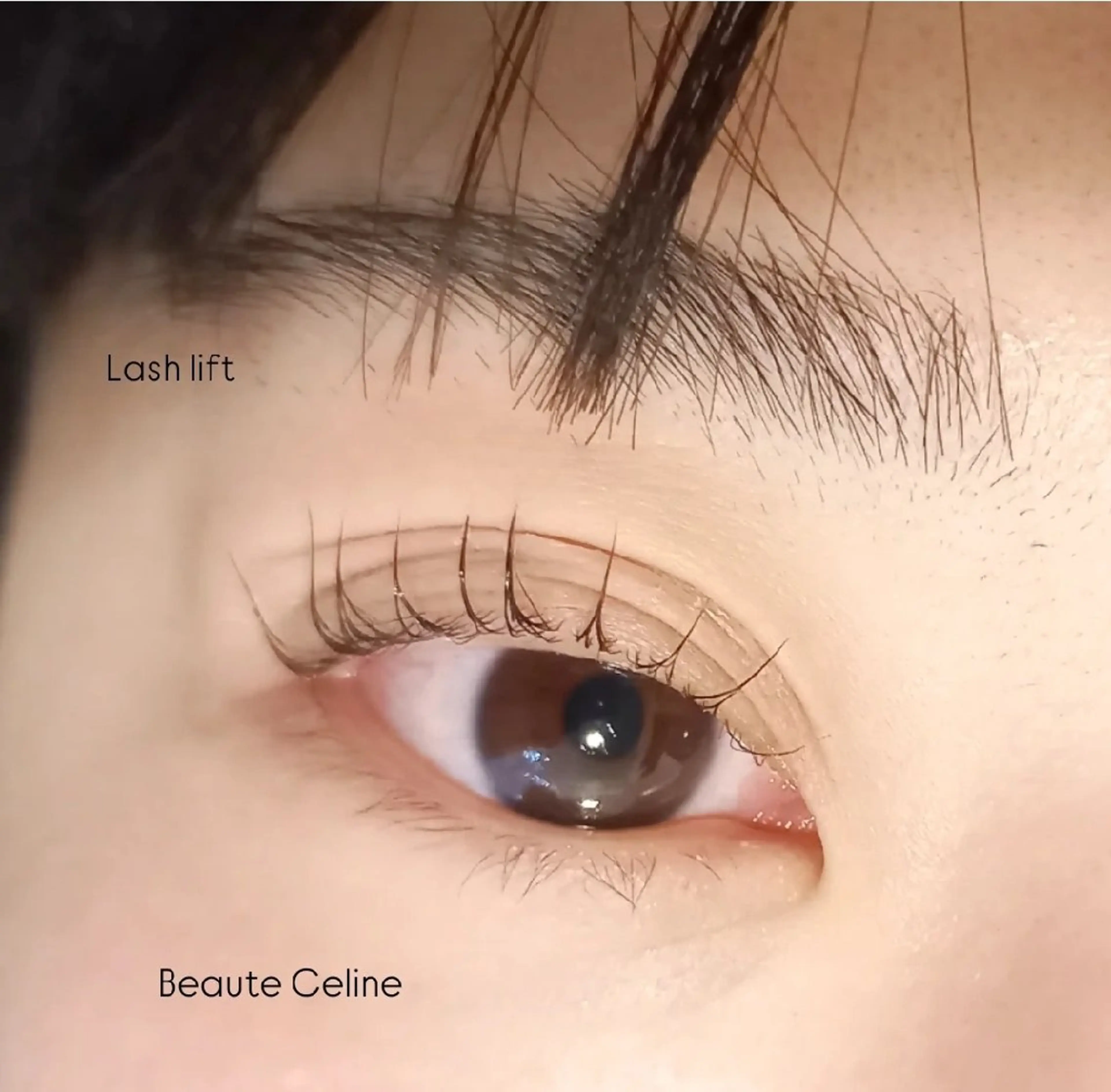 マツエク・マツパ マツパ beaute.celine所属・8時~✨beaute Celine🌛🌹のマツエク・マツパデザイン