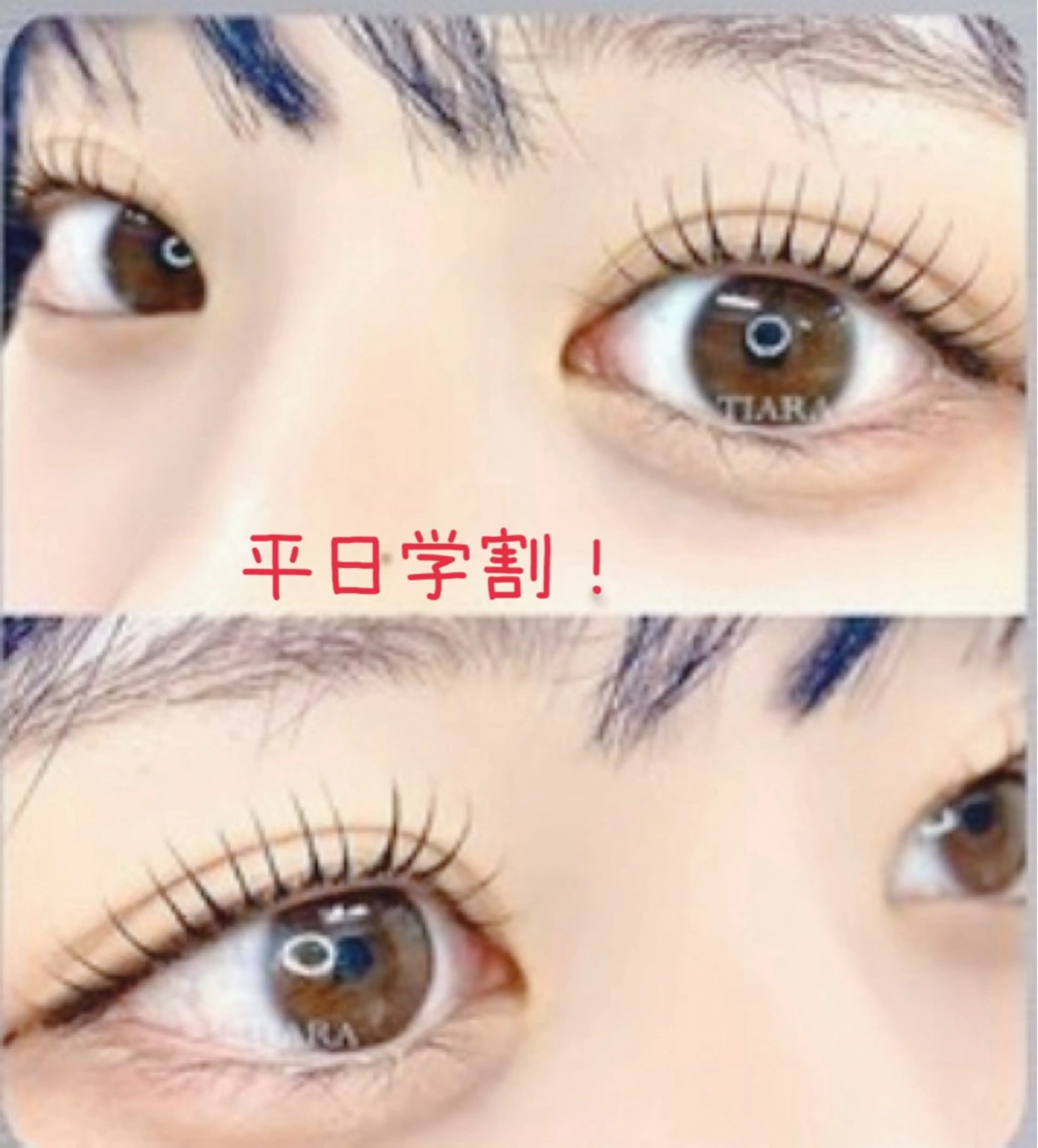 平日学割まつ毛パーマ！の写真