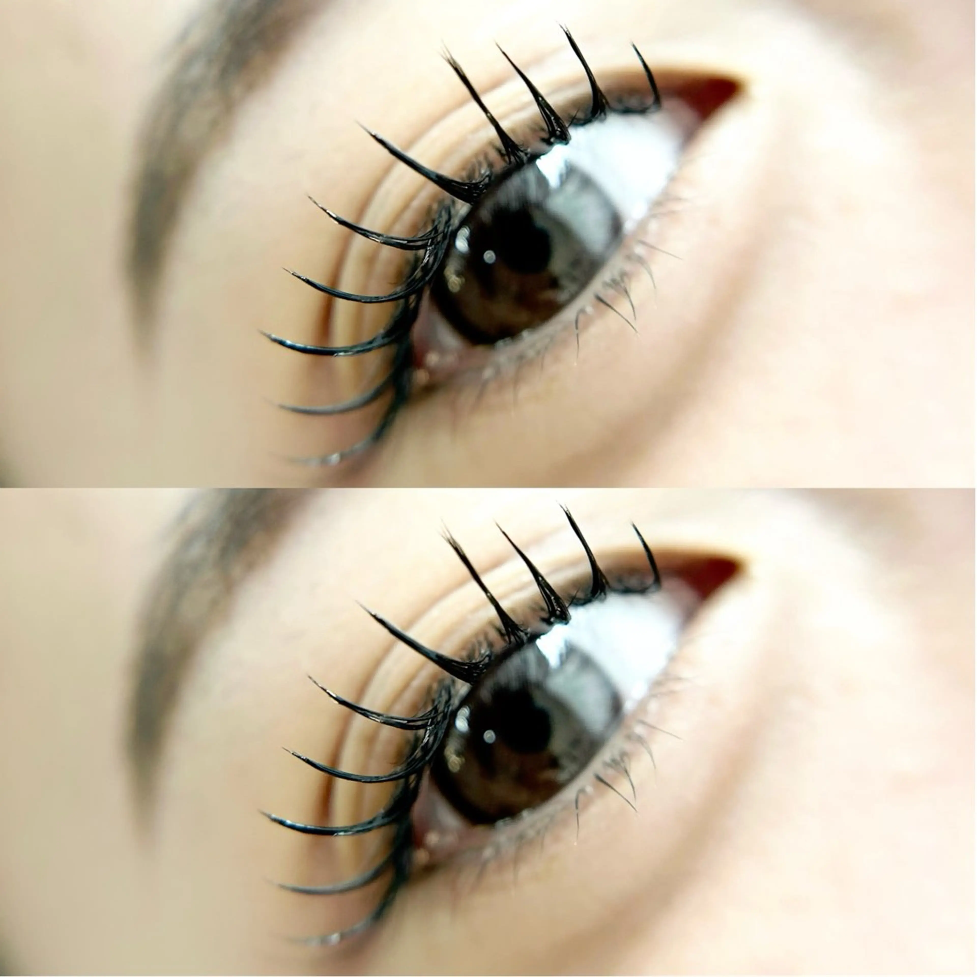 マツエク・マツパ peTiT京橋店🌷 yuiのマツエク・マツパデザイン