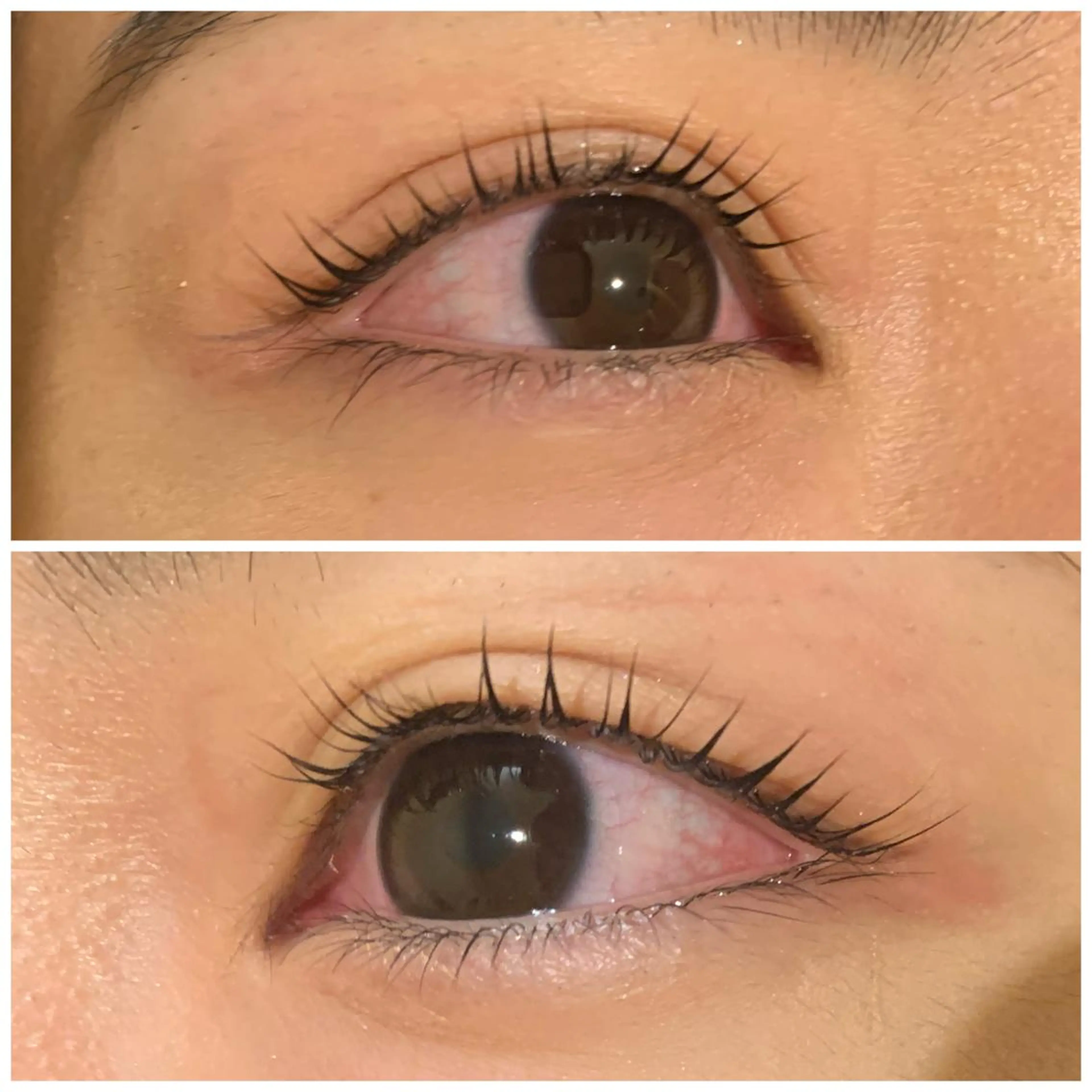 ネイル 🌼🤎福島 咲果🌼🤎のマツエク・マツパデザイン