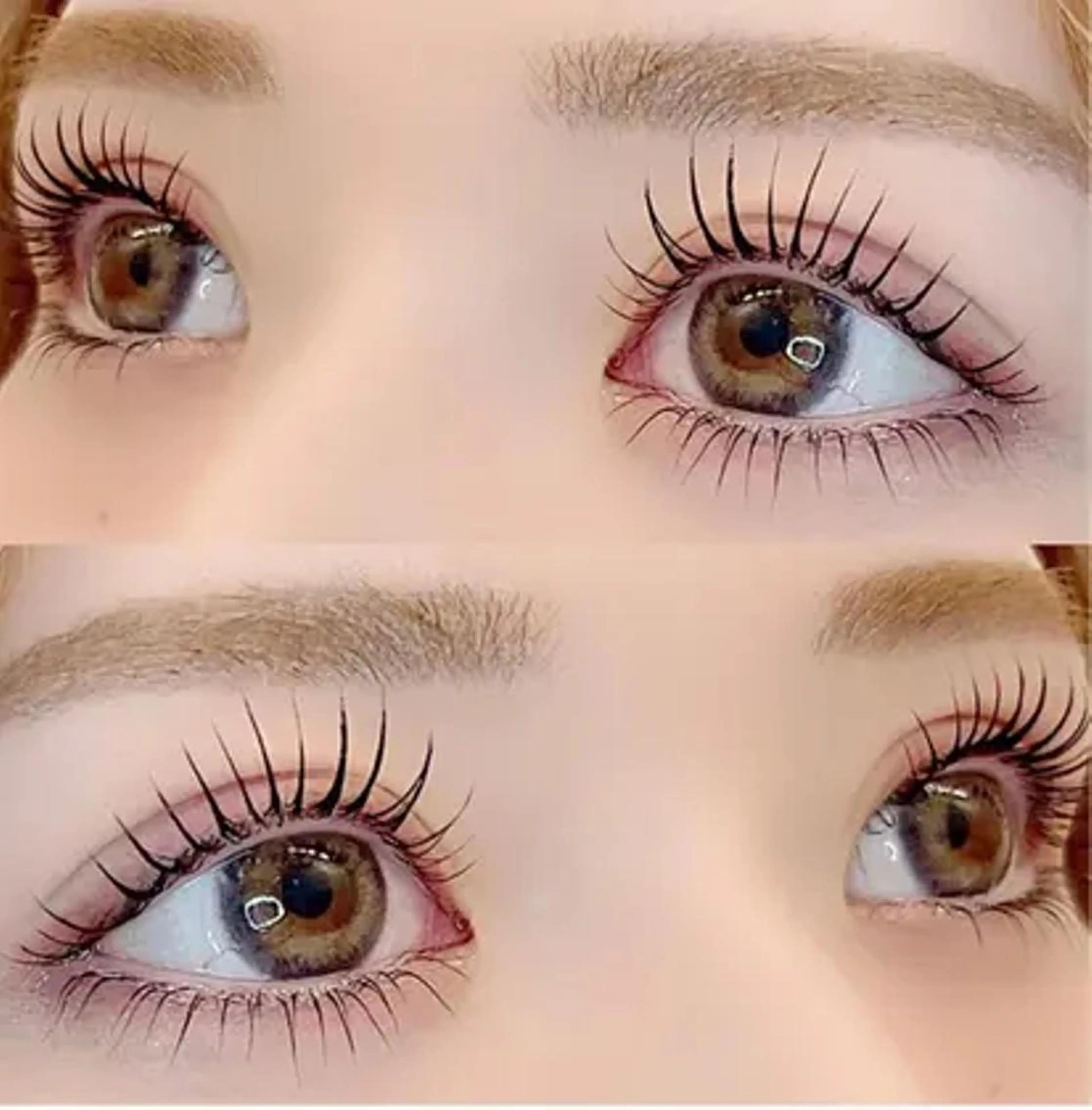 その場での次回予約限定🩷アイブロウ➕パリジェンヌの写真