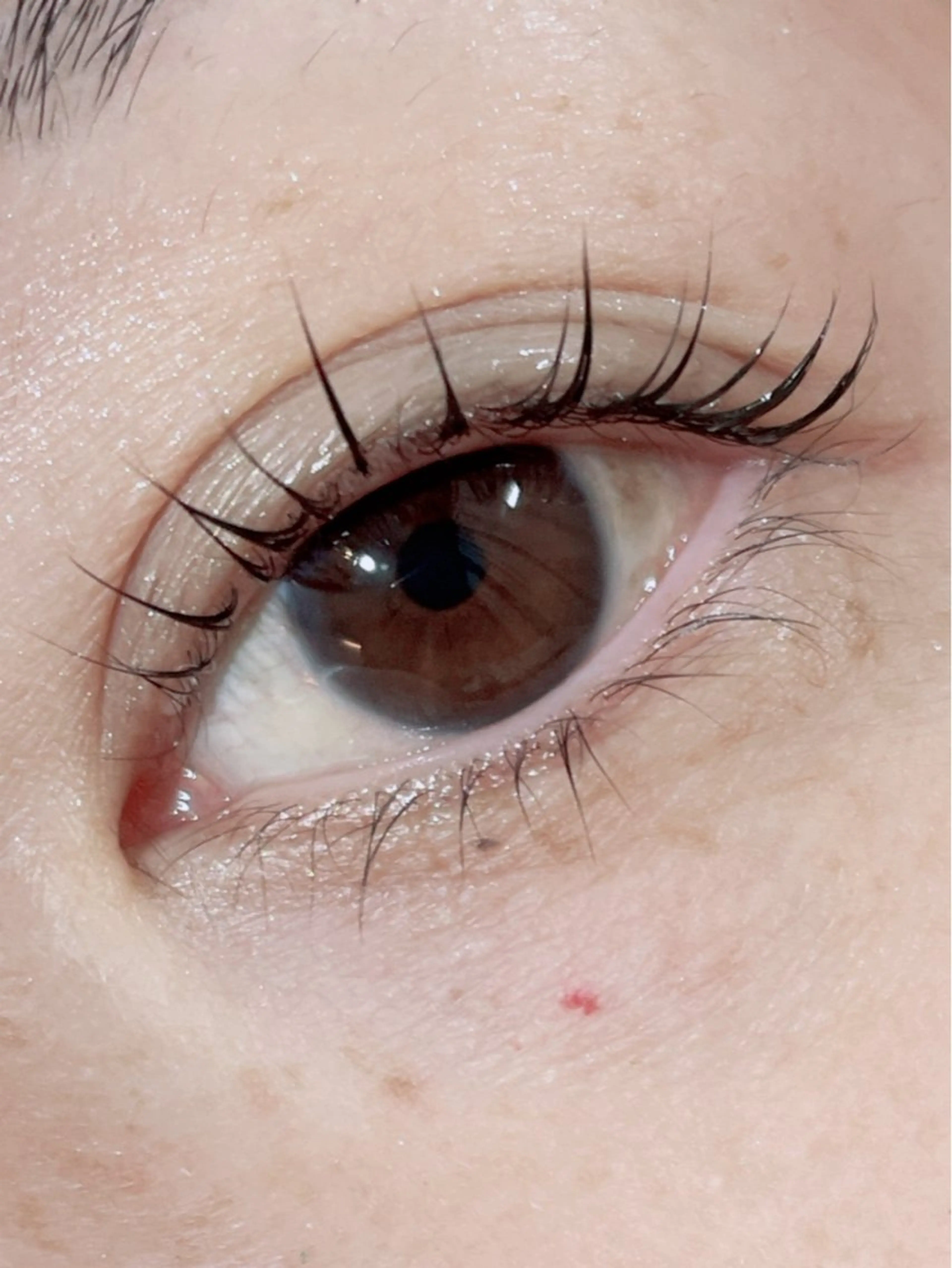 マツエク・マツパ Anjir（アンジール）所属・完全個室サロン Anjirのエステ・リラクイメージ