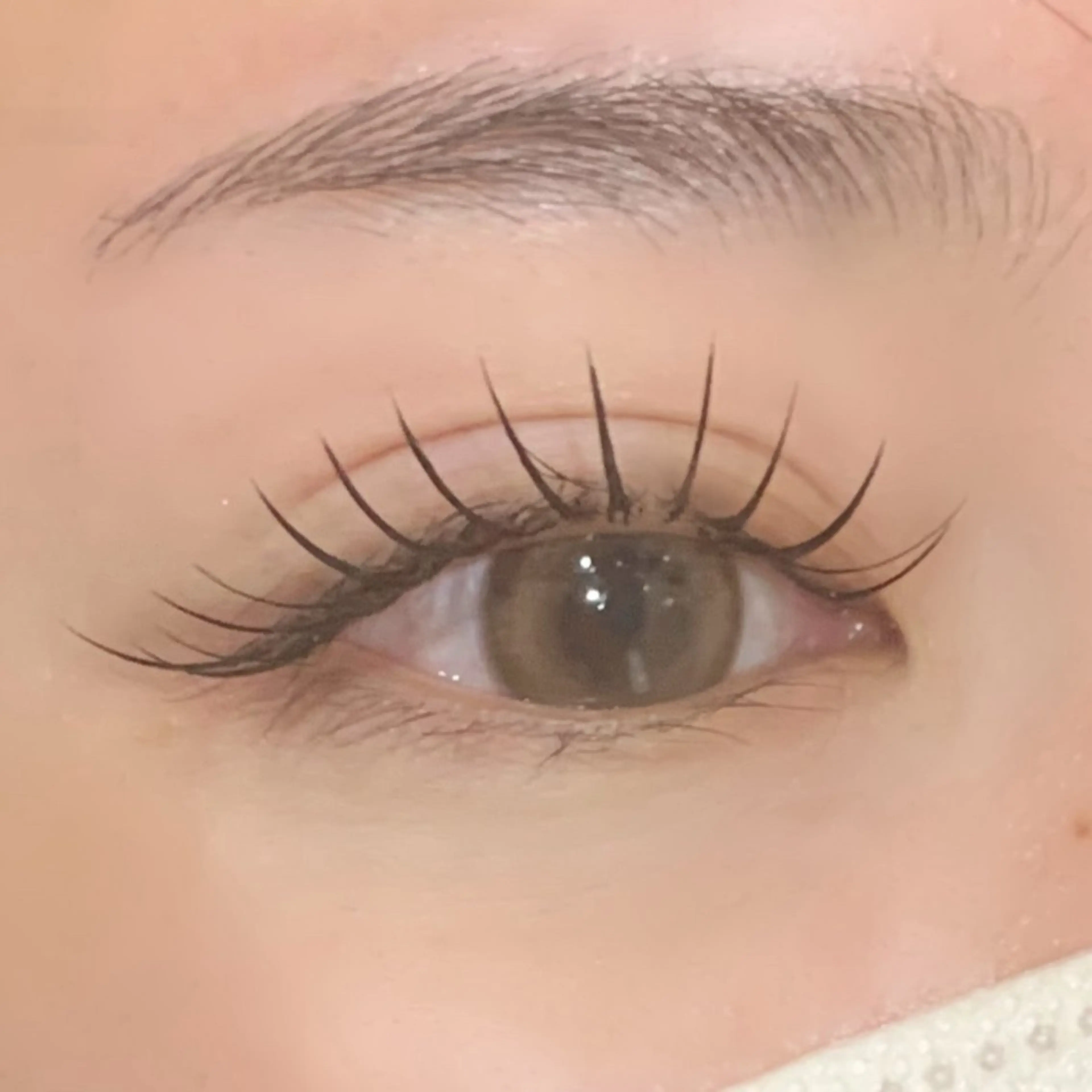 マツエク・マツパ 🌷 ENOMOTO🌷のマツエク・マツパデザイン