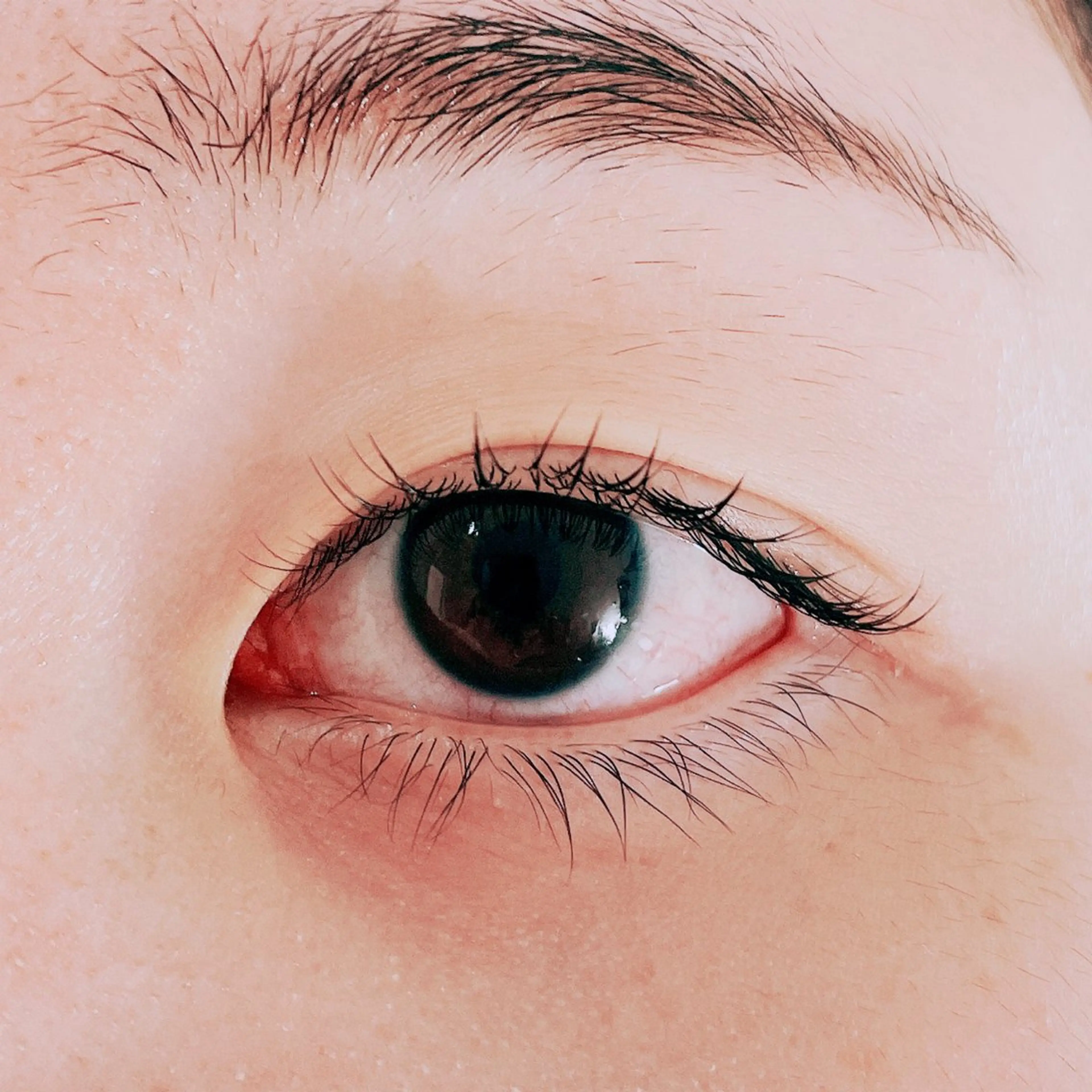 マツエク・マツパ eyelash COLORのマツエク・マツパデザイン