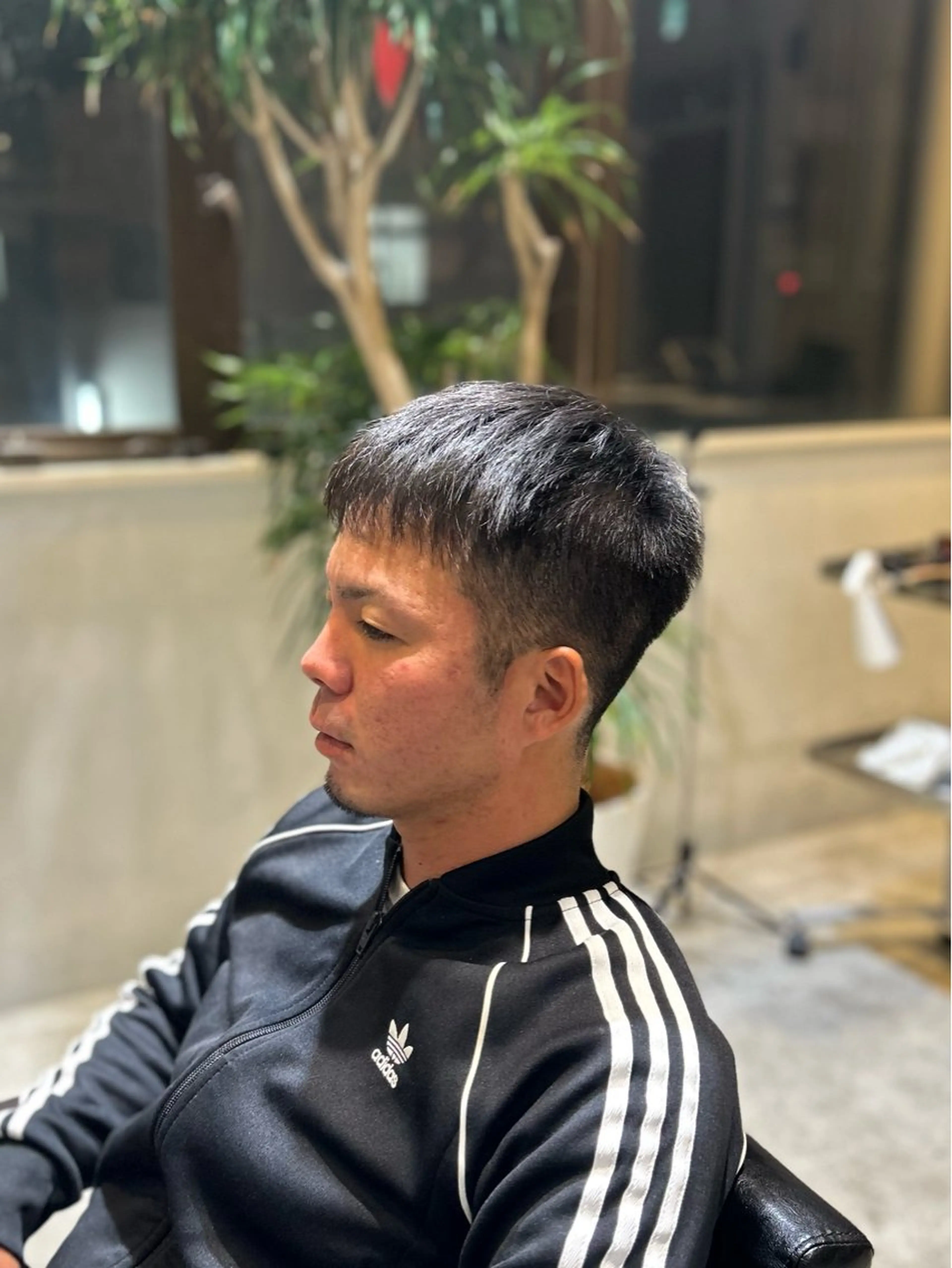 ショート 、 りえのその他イメージ