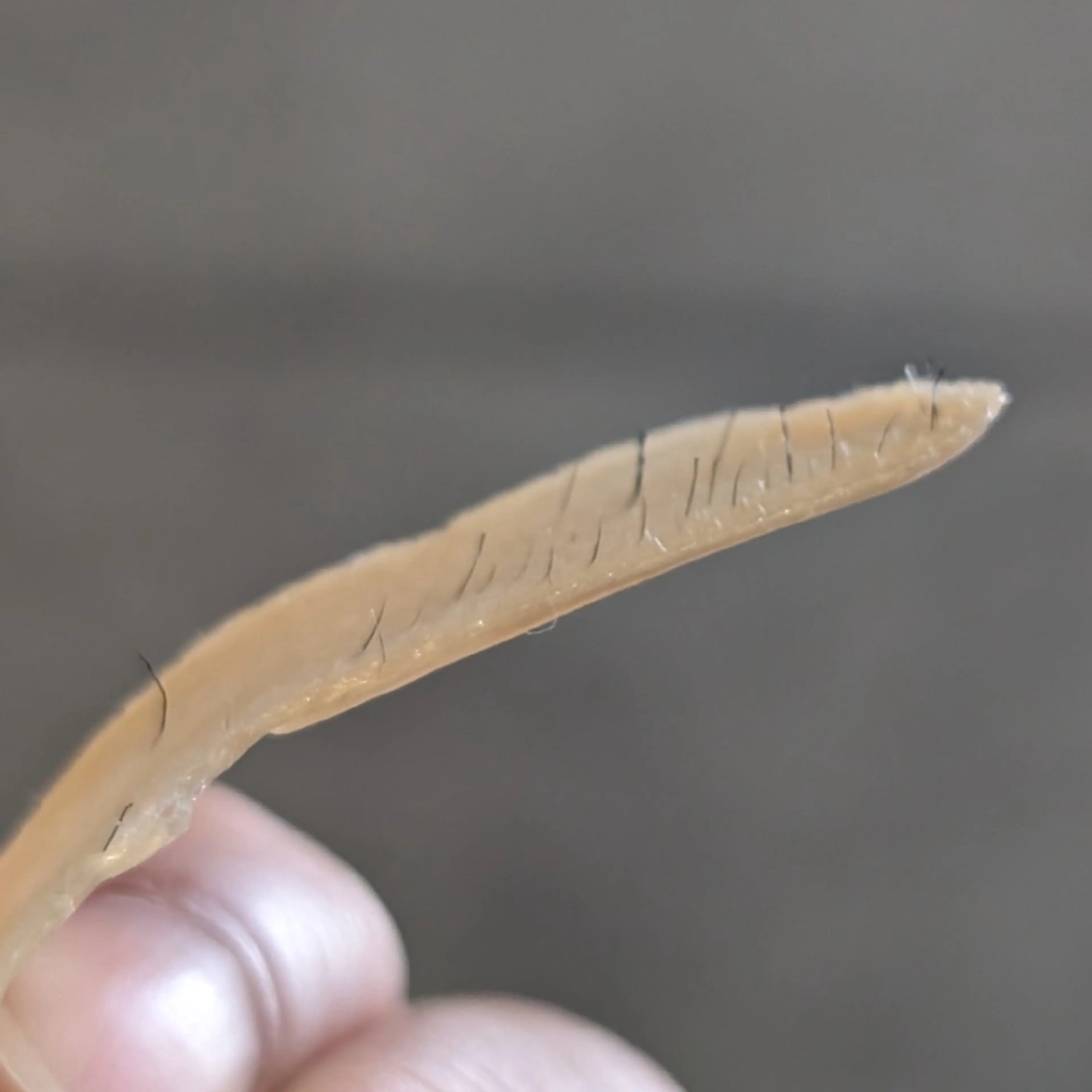 Morphome所属・【Morphome】 ﾓﾙﾌｫﾑのエステ・リラクイメージ