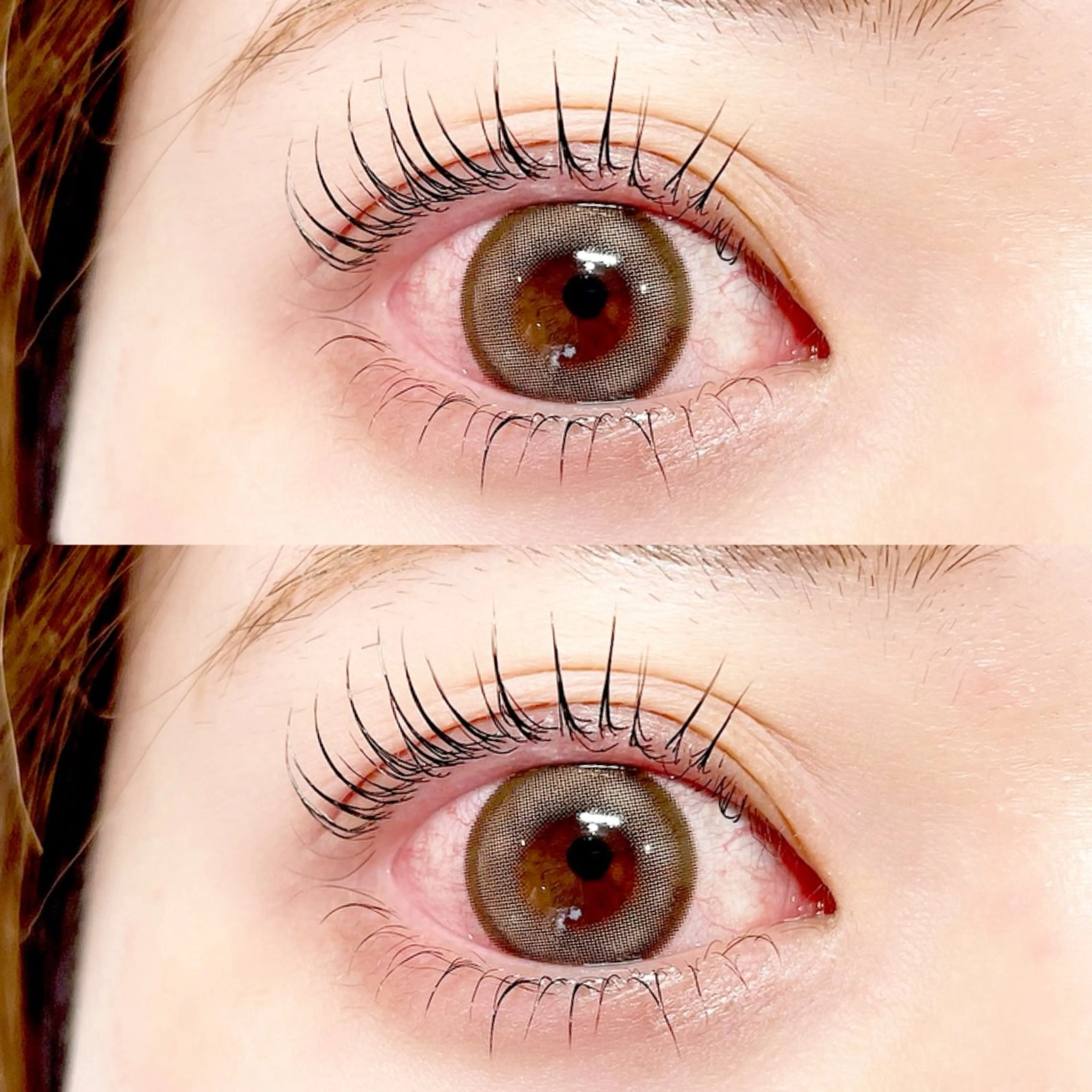 パリジェンヌラッシュリフト上下（アイSH付&コーティング仕上げ）の写真