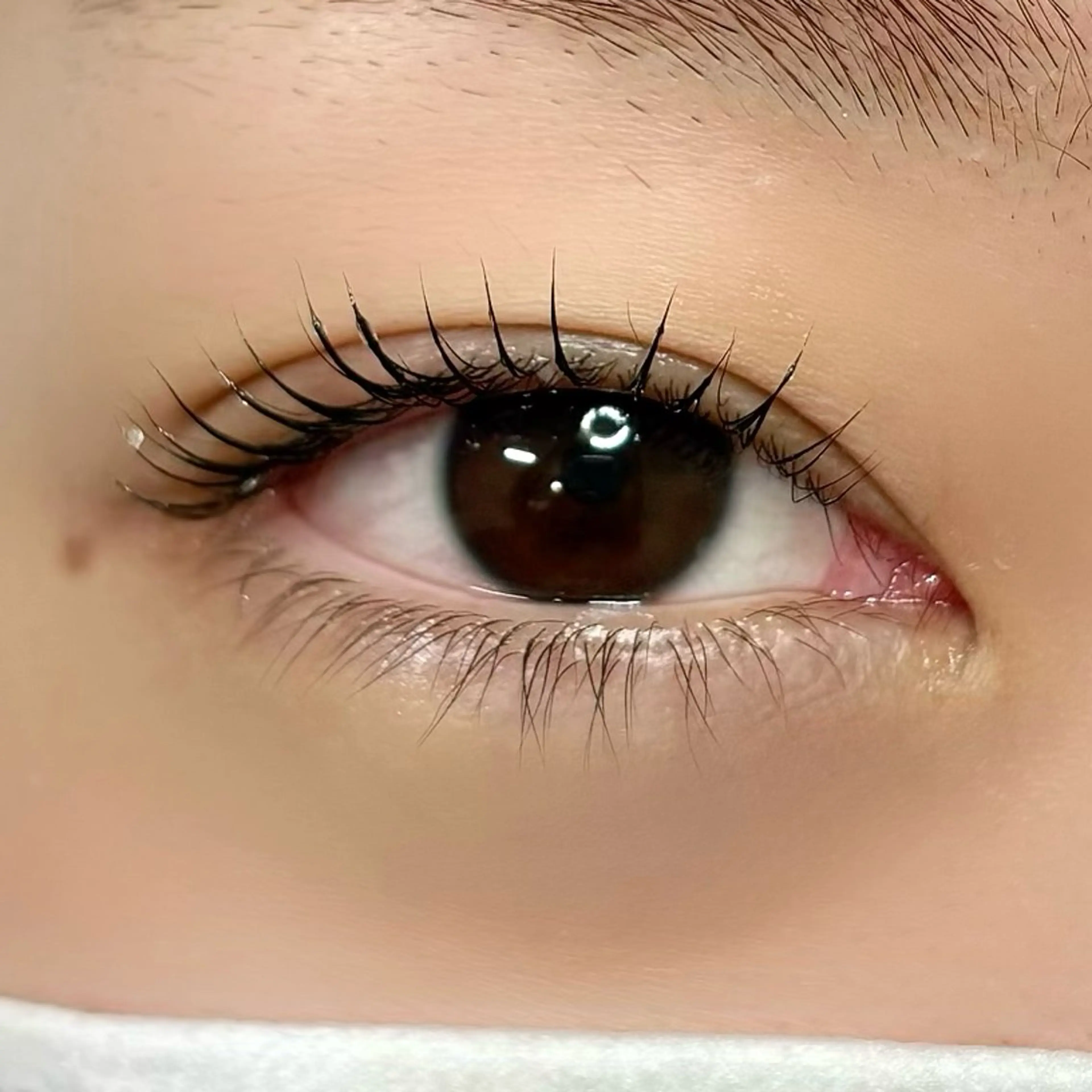 マツエク・マツパ Rediant 🌼 eyelashのマツエク・マツパデザイン