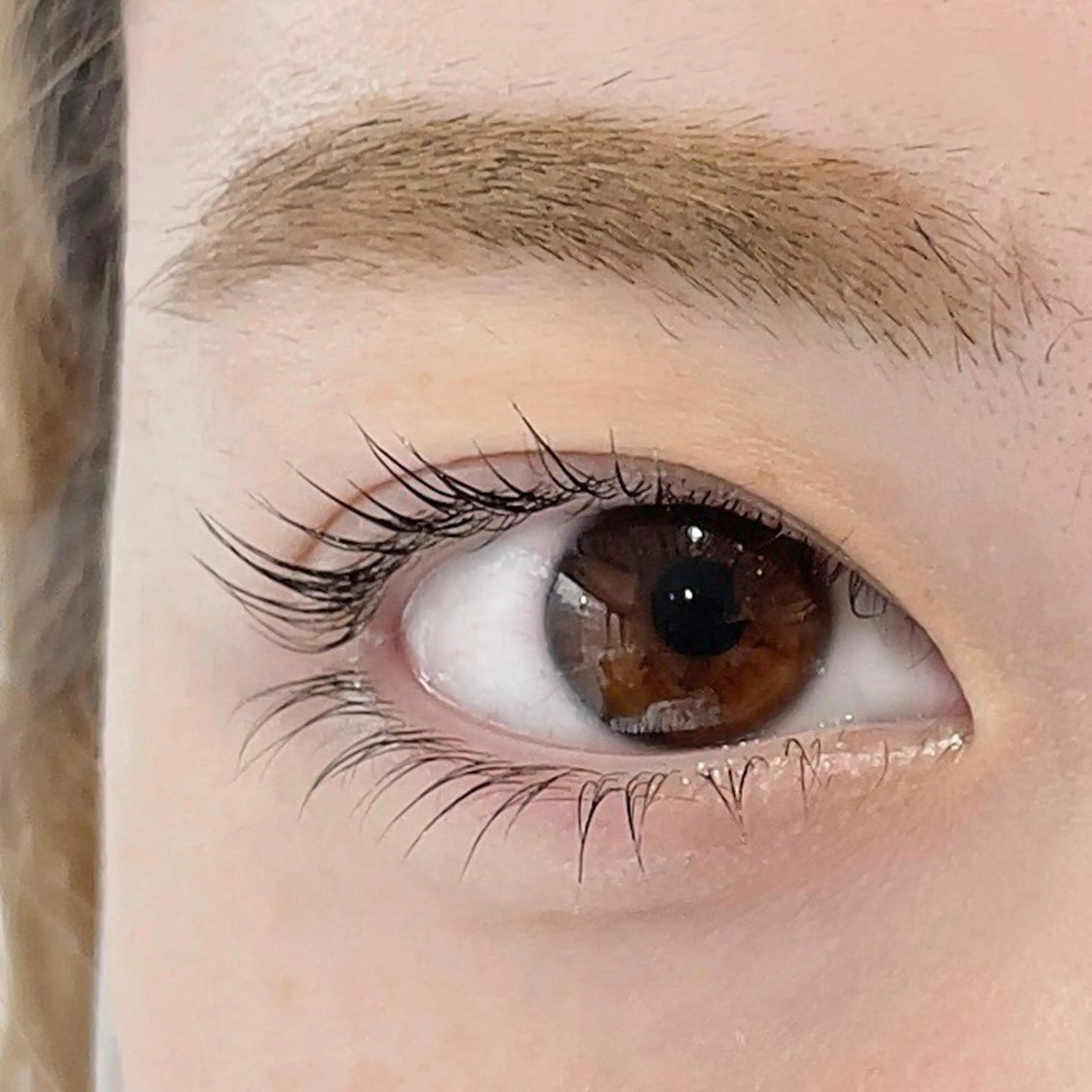 【上下🦋】次世代まつ毛パーマ💫活性ケラチントリートメント&高濃度美容液で仕上げます。上下でデカ目​〜​👀💕の写真