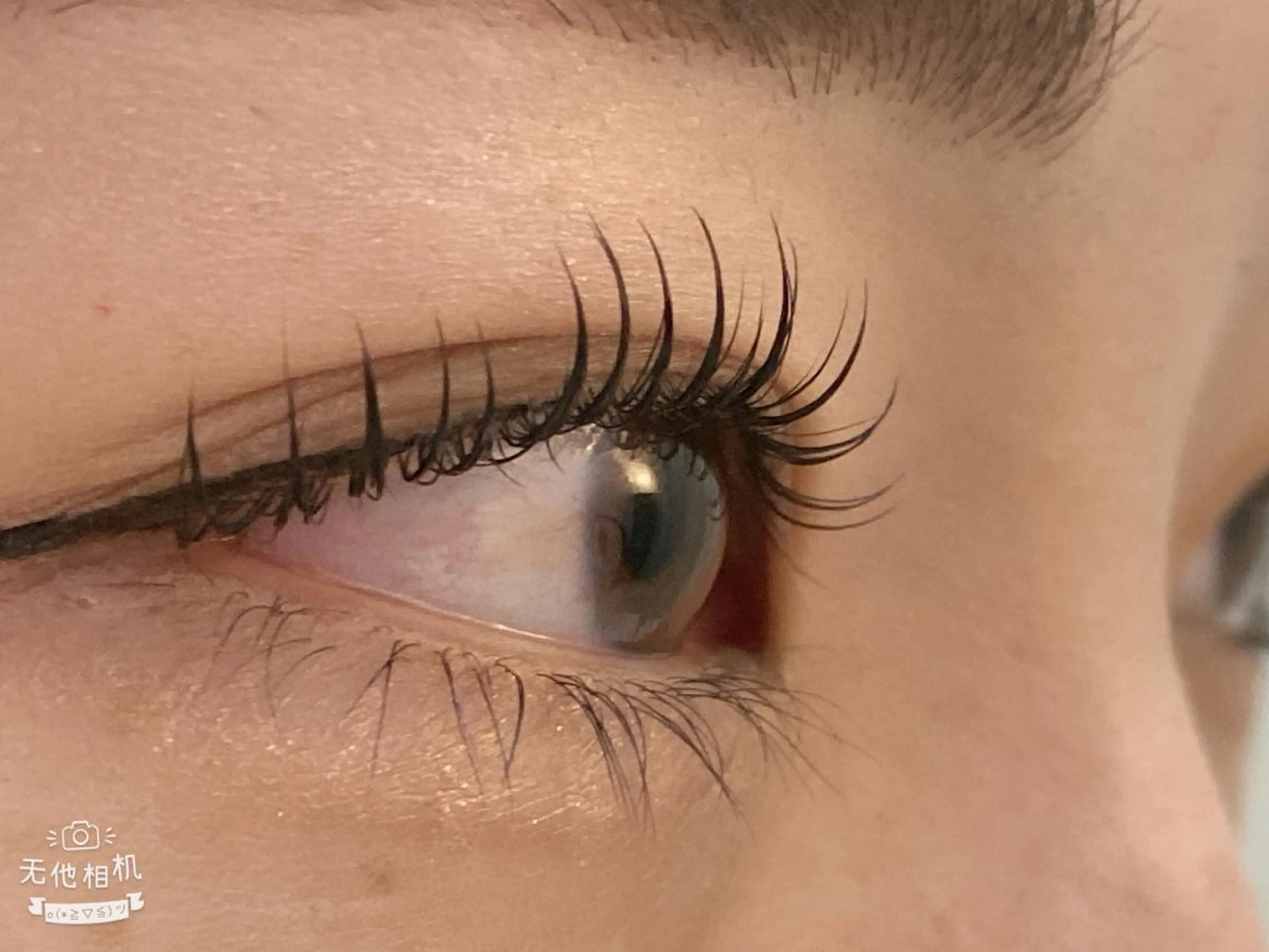 マツエク・マツパ マツエク BEL EYE BEAUTYアイ中野のマツエク・マツパデザイン