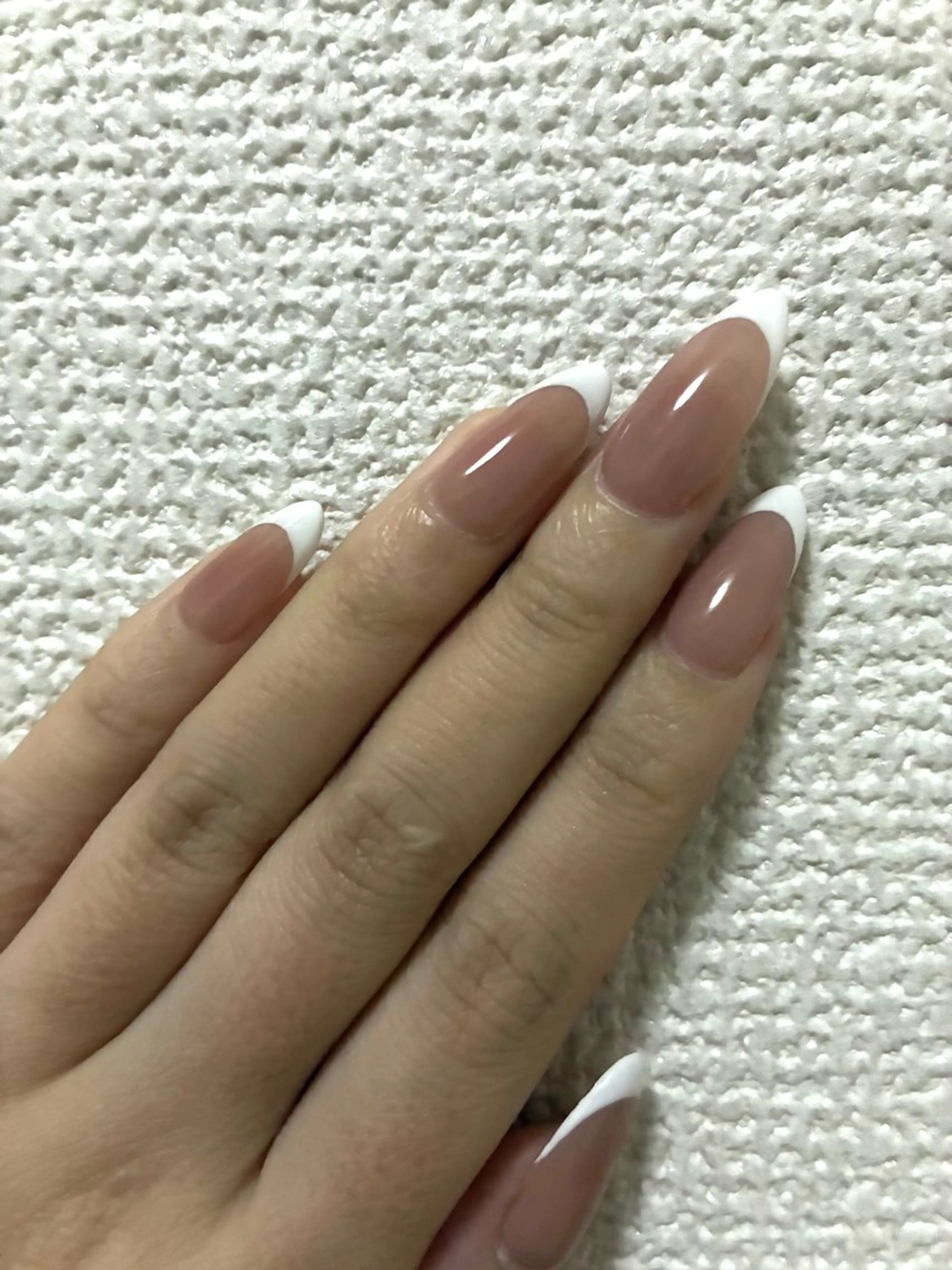 オフあり（フィルイン）フレンチの写真