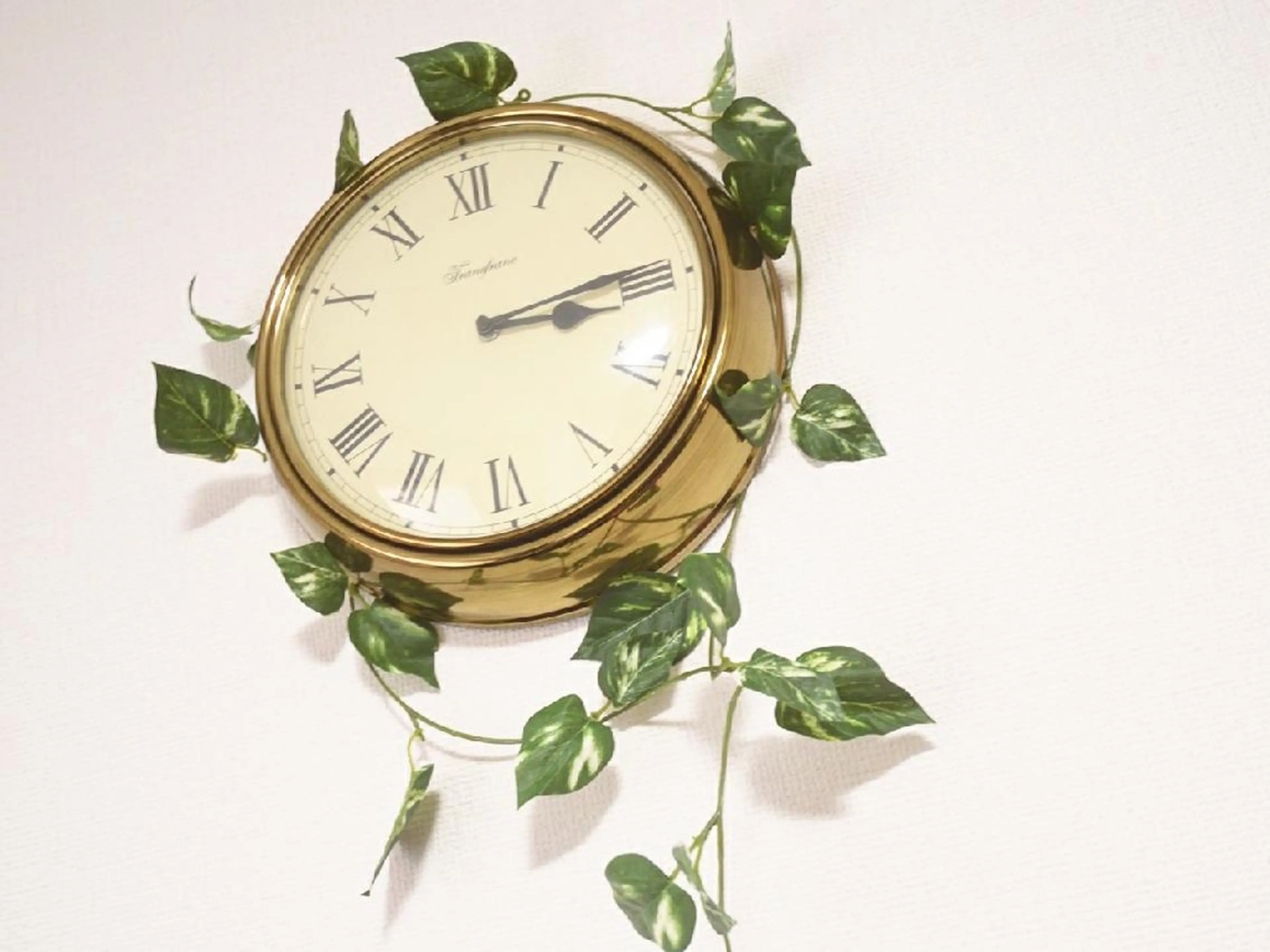 坂本 未央のマツエク・マツパデザイン