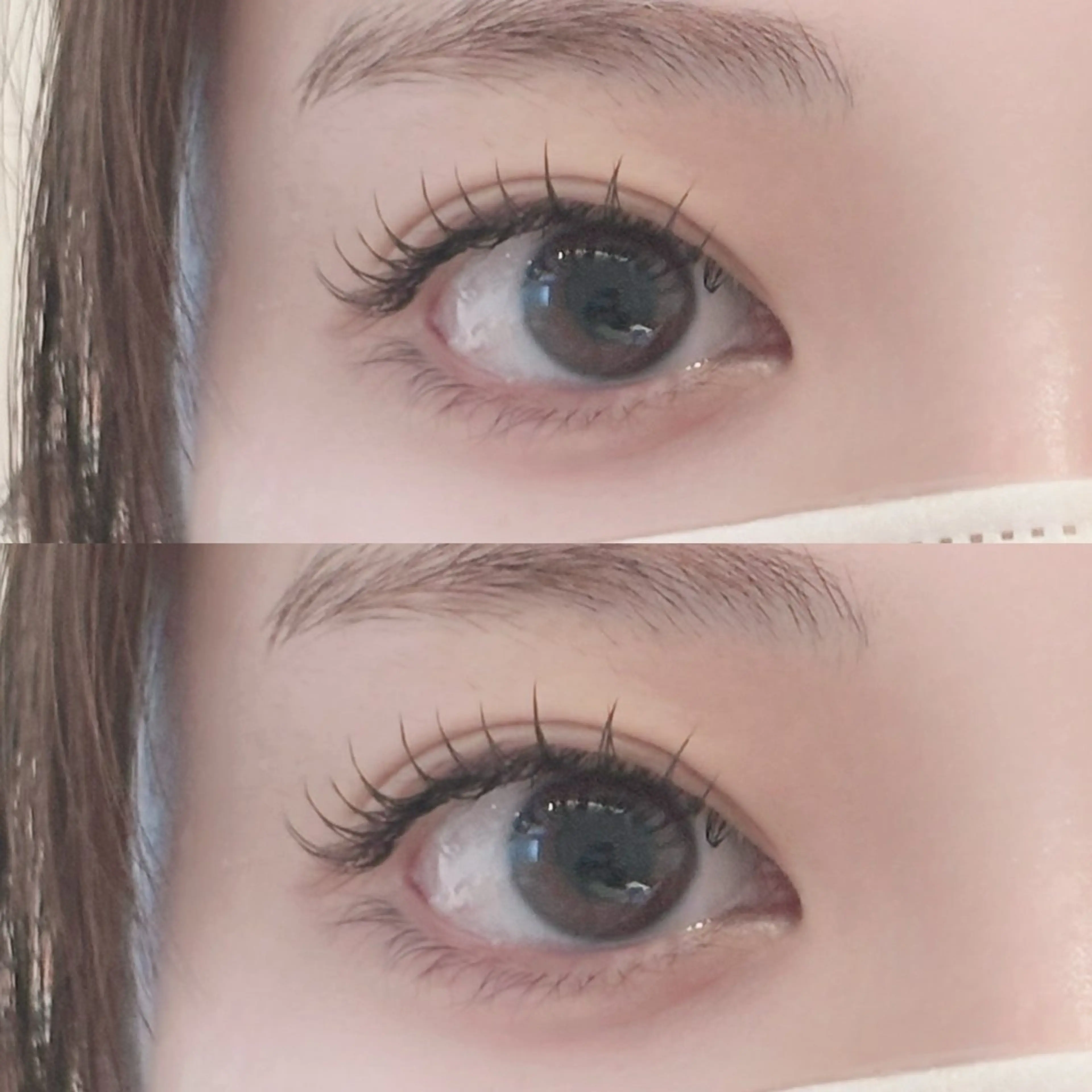 フラットラッシュ120本(オフあり)の写真