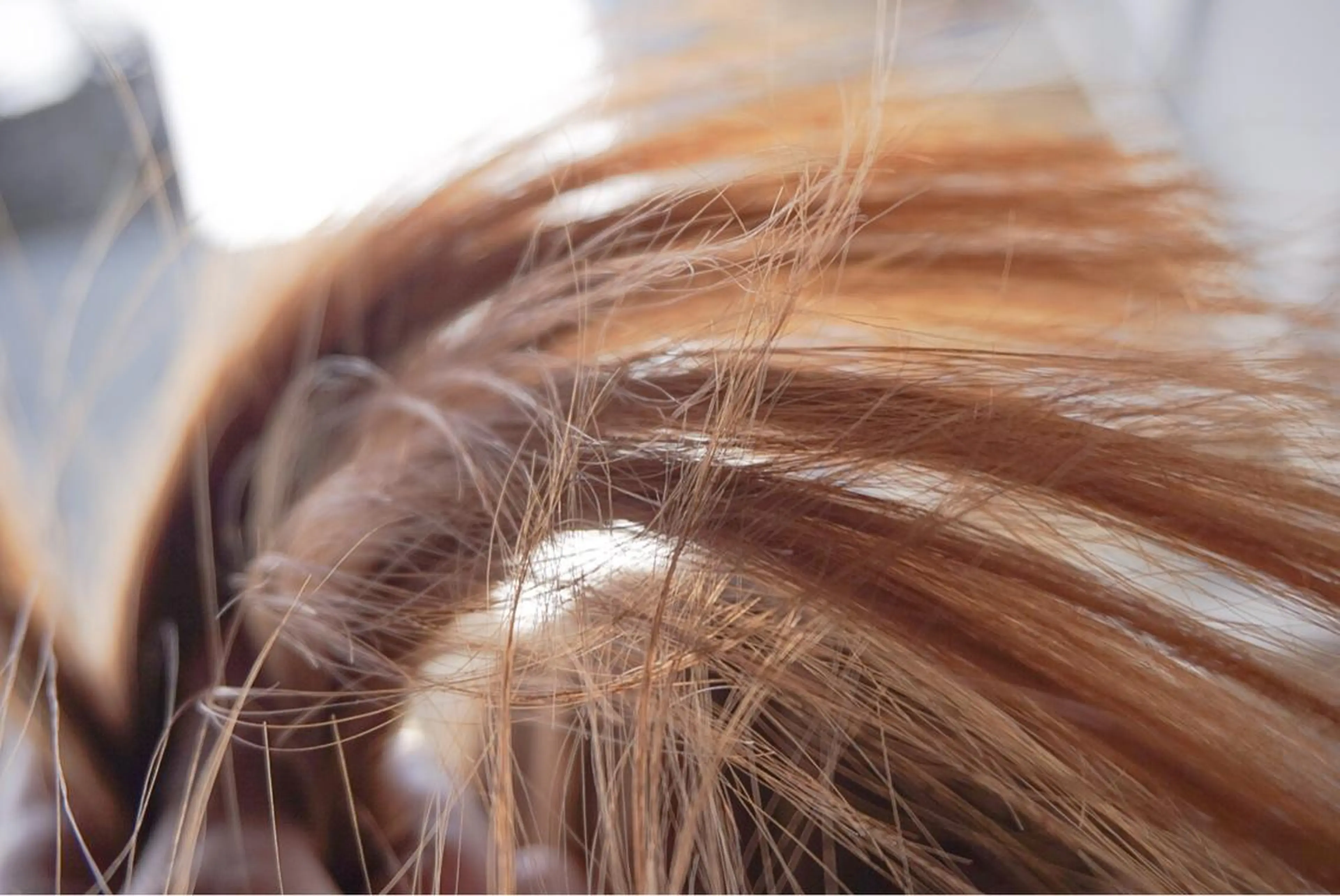 ミディアム パーマ current所属・✨落ち着いた接客 💡高橋優也💡のヘアスタイル