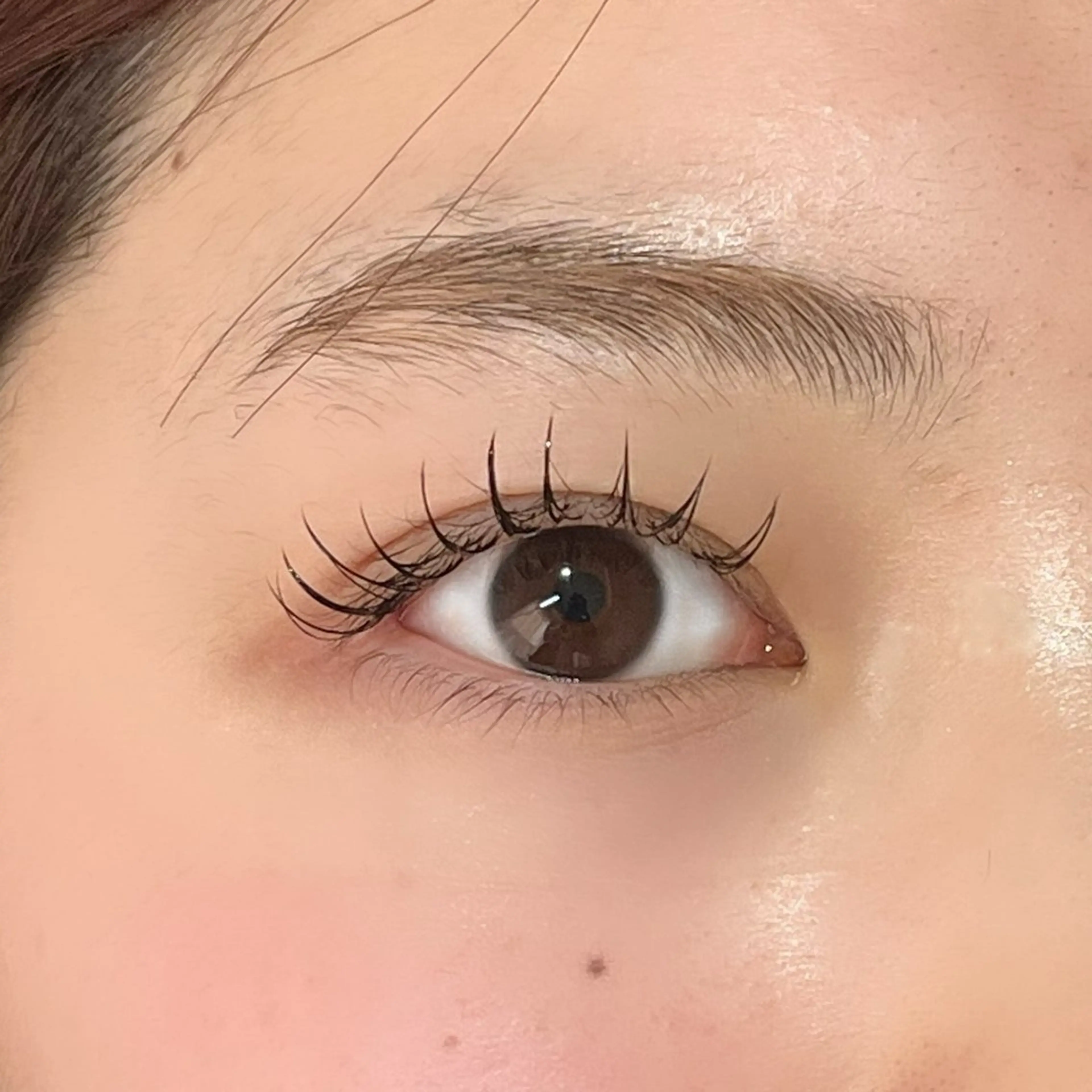 マツエク・マツパ フラットラッシュ 菊田 未来のマツエク・マツパデザイン