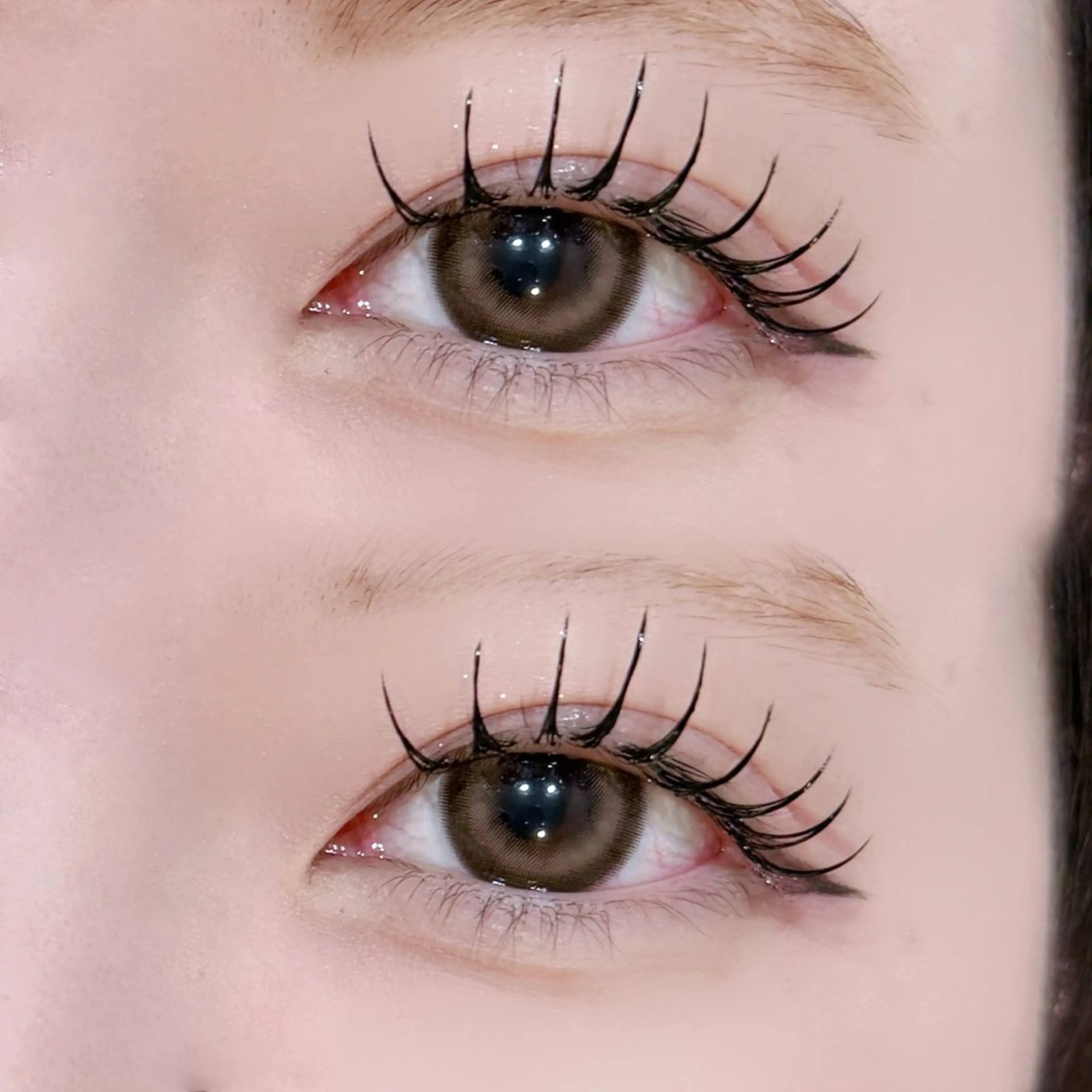 最高持続🧚🏼‍♀️🩵LEDフラットラッシュ🩵🧚🏼‍♀️【オフなし】120本🫧の写真