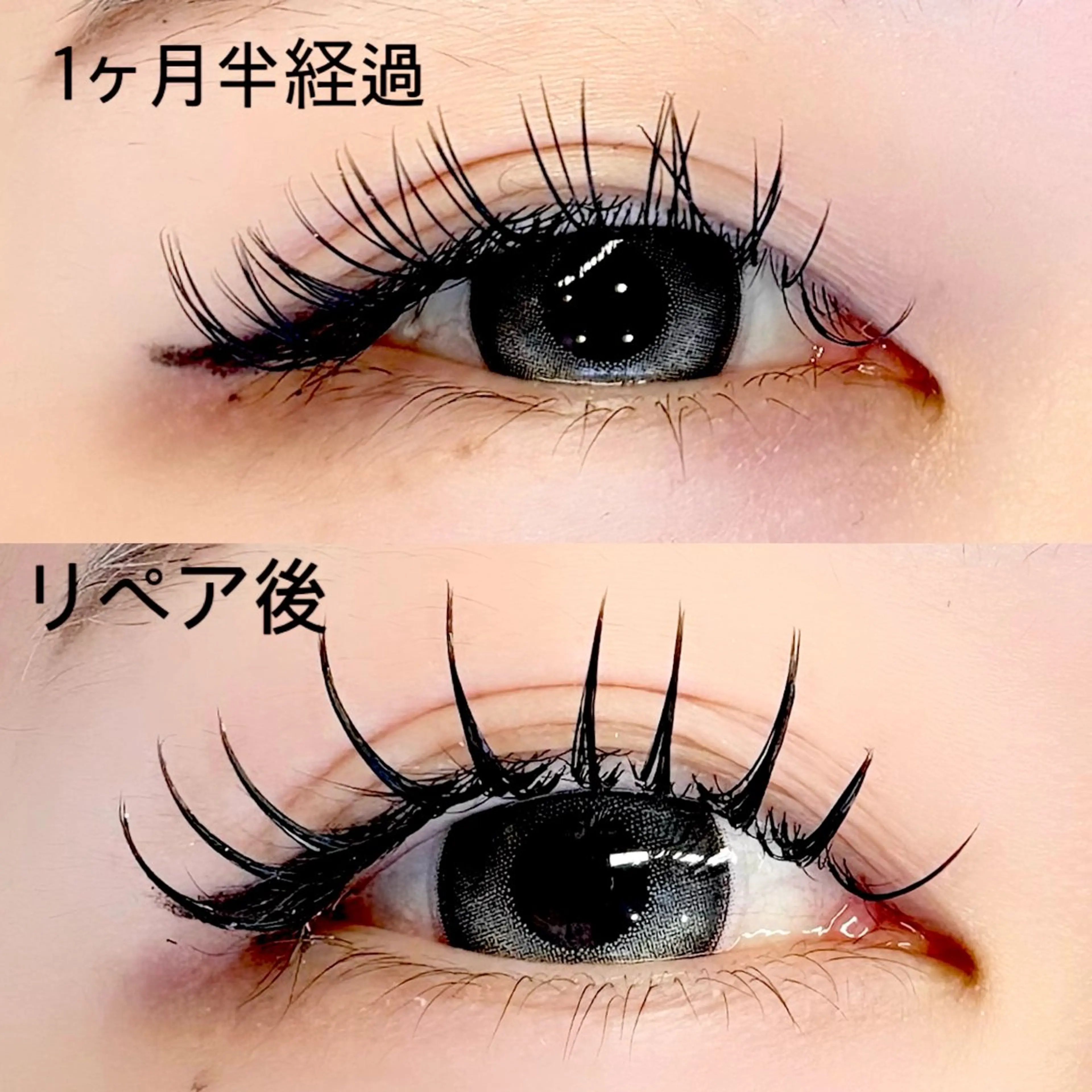 ダブルフラット80束の写真