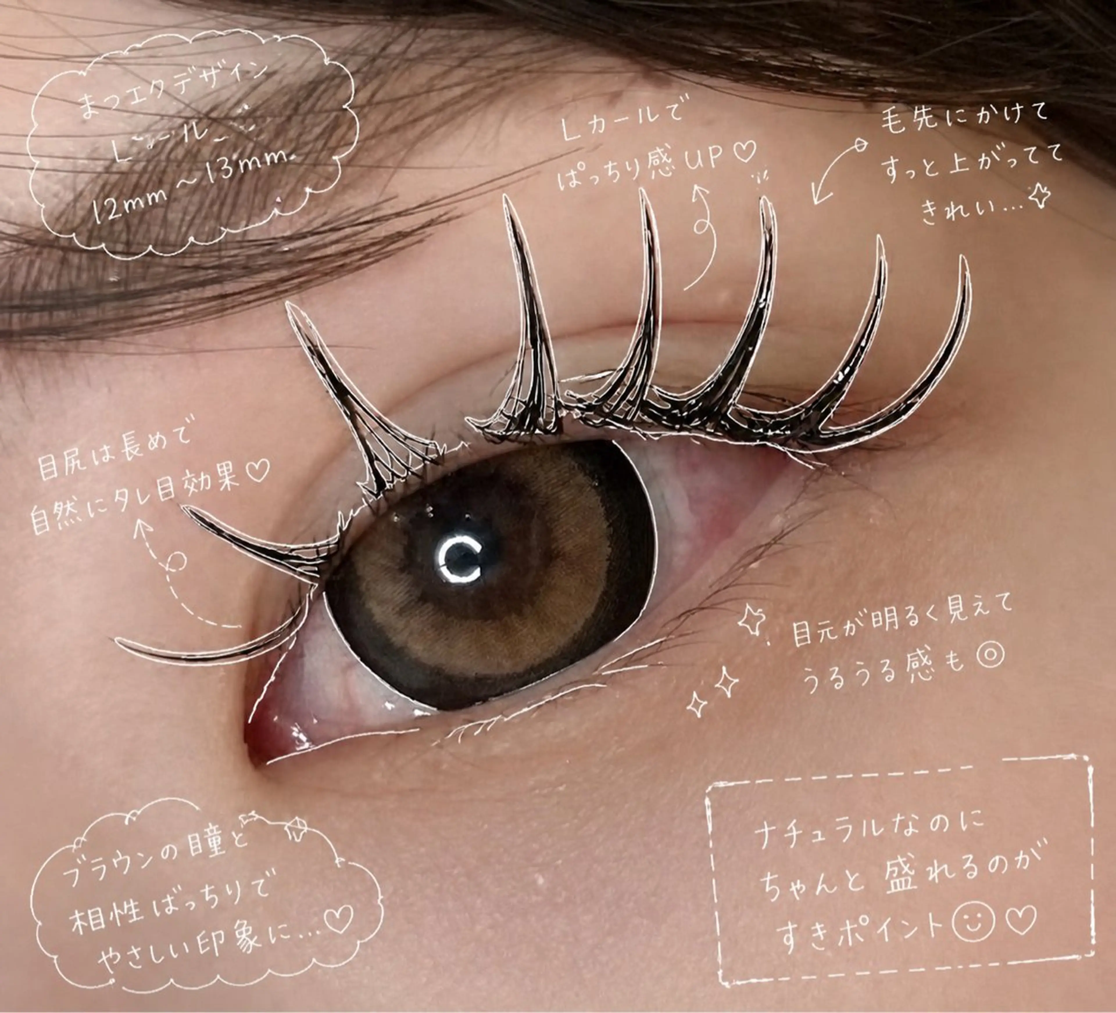 マツエク・マツパ フラットラッシュ Lカール マツエク elua eyelashの眉毛・アイブロウイメージ