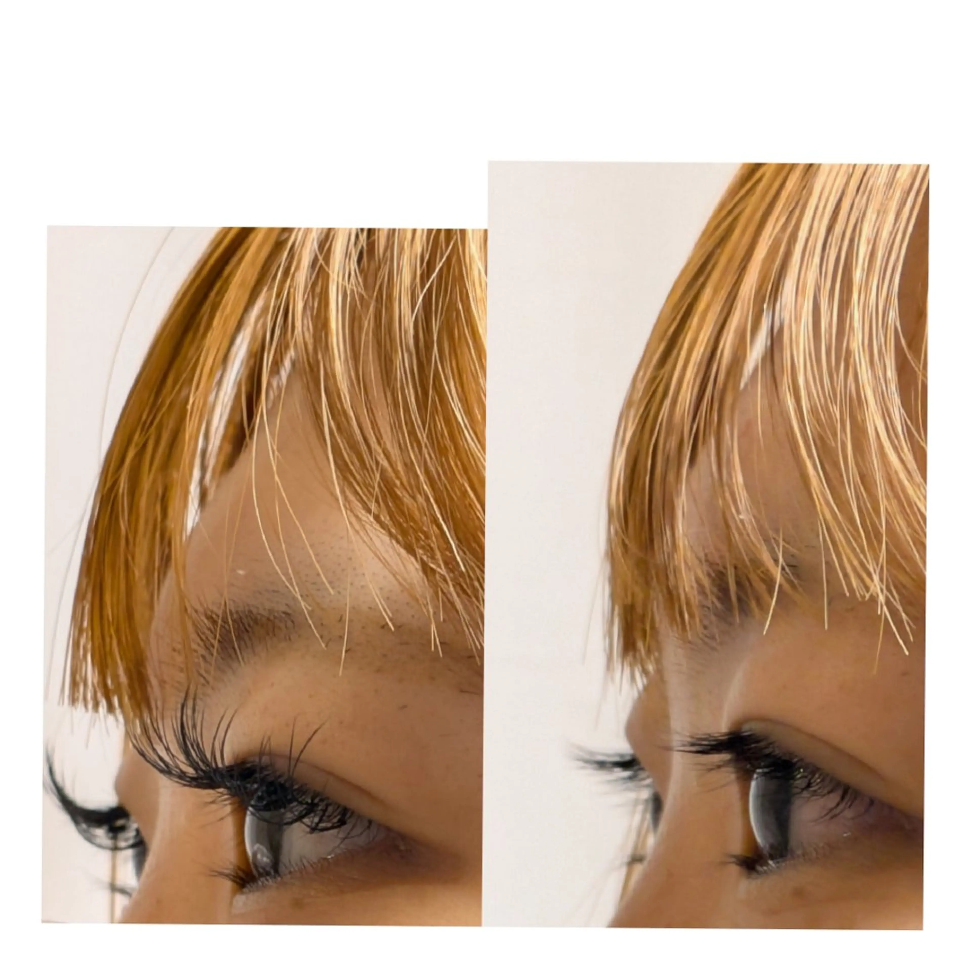 マツエク・マツパ マツエク ANEMONA 龍河のマツエク・マツパデザイン