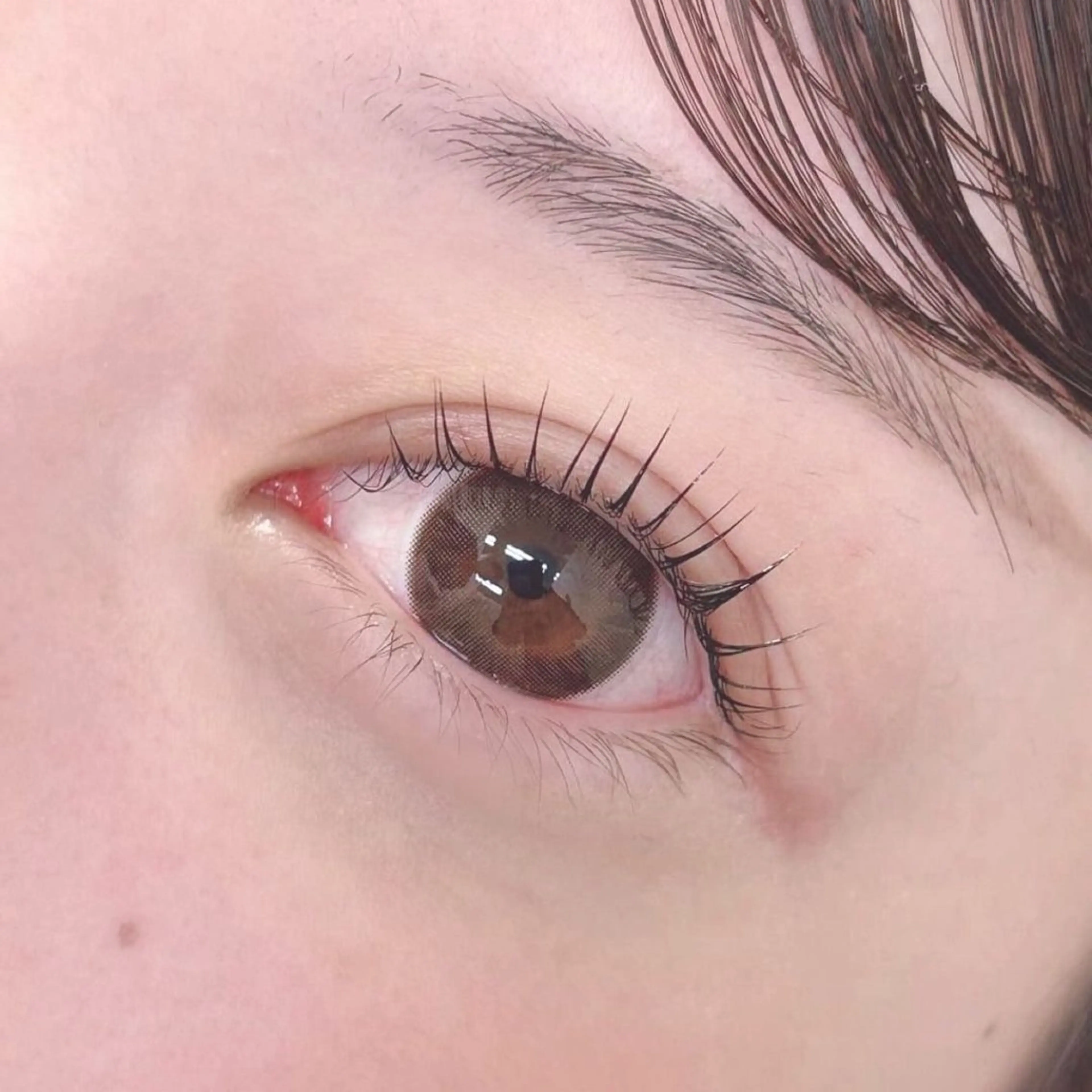 次世代印象まつ毛パーマ《パリジェンヌラッシュリフト》 ♡アイシャンプー&トリートメント付♡の写真