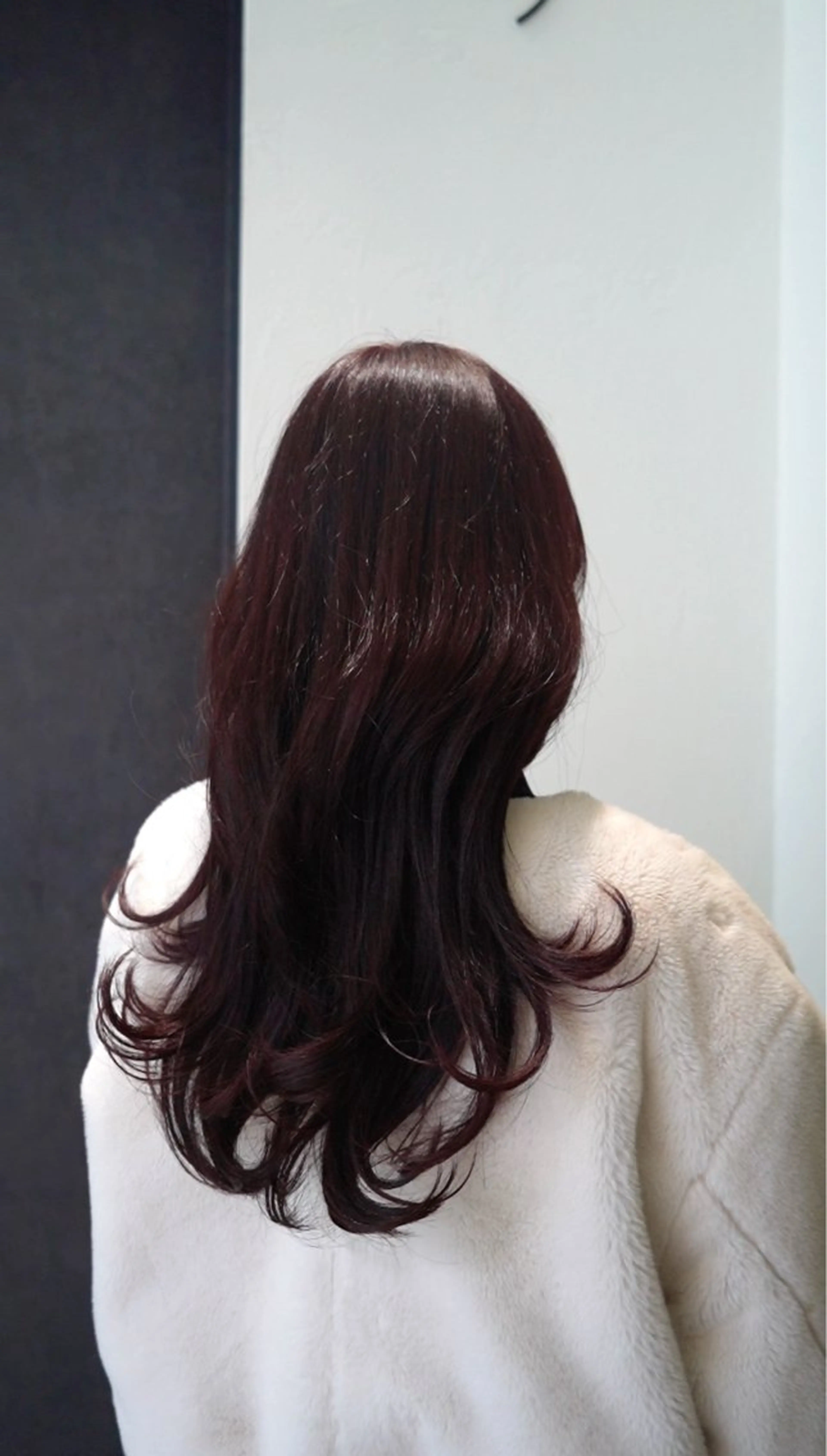 ロング カラー ボルドーカラー ボブ/ミディアム sakuのヘアスタイル