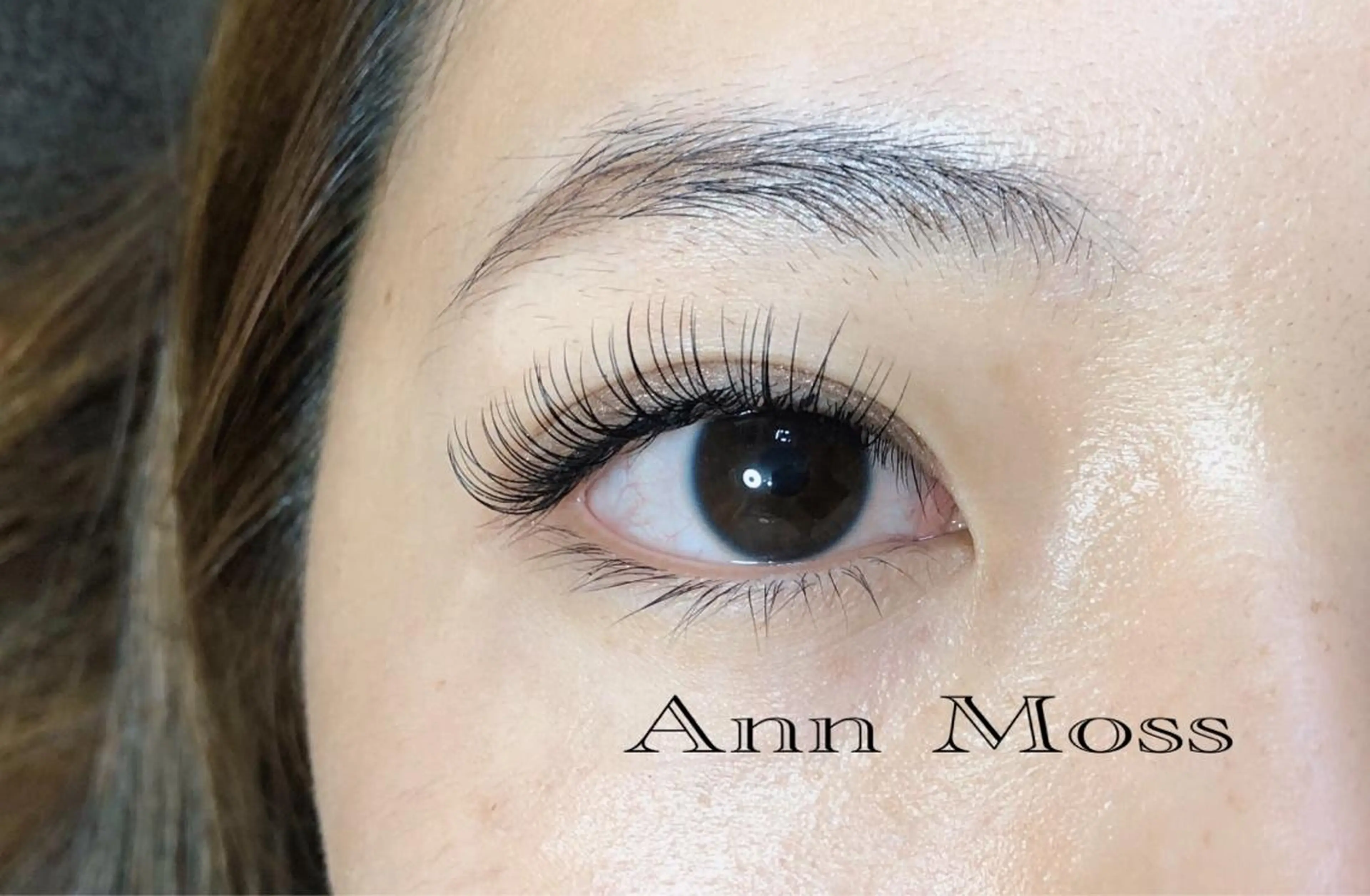 マツエク・マツパ 無料モデル募集中 Ann Mossのマツエク・マツパデザイン