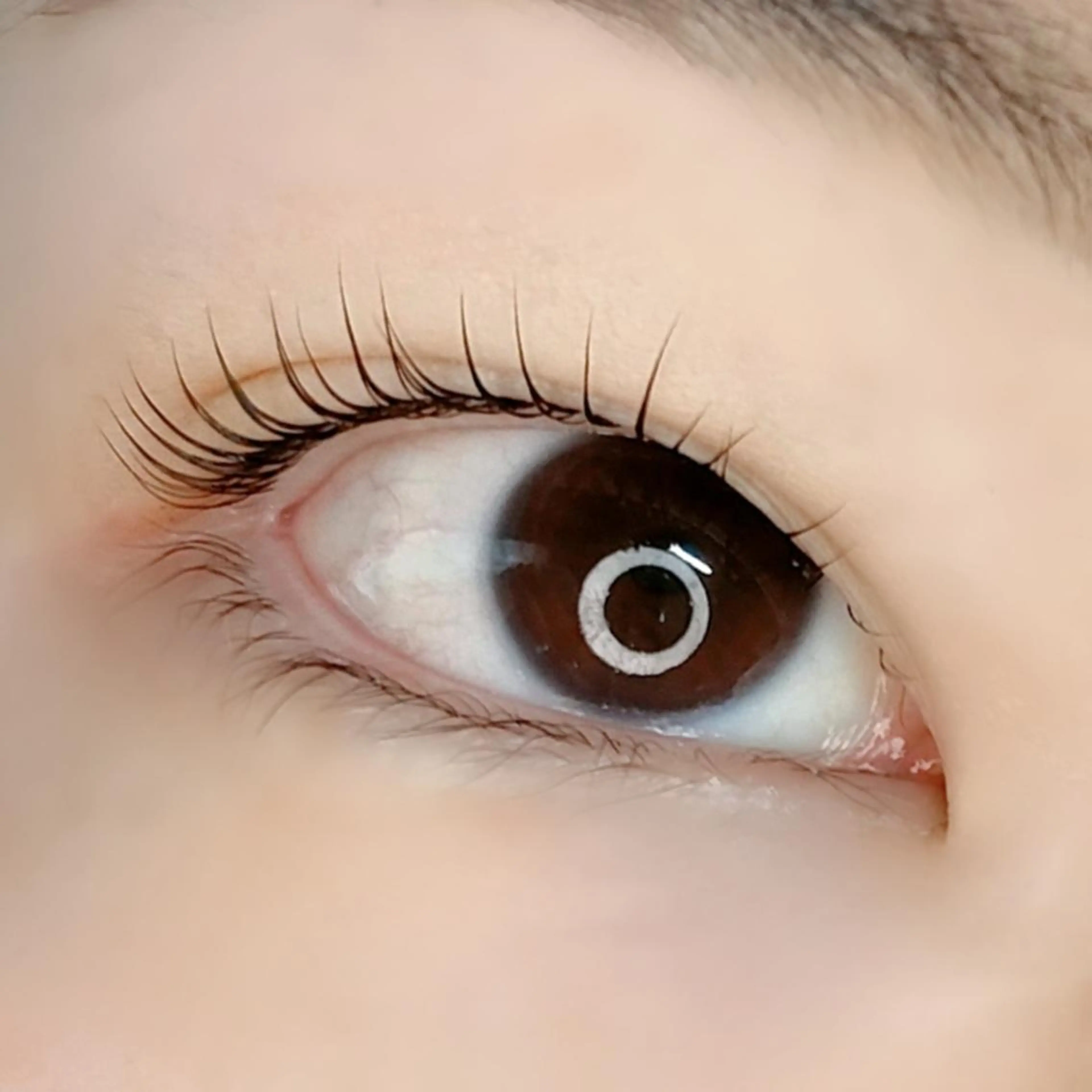 マツエク・マツパ 平山 ゆりのマツエク・マツパデザイン