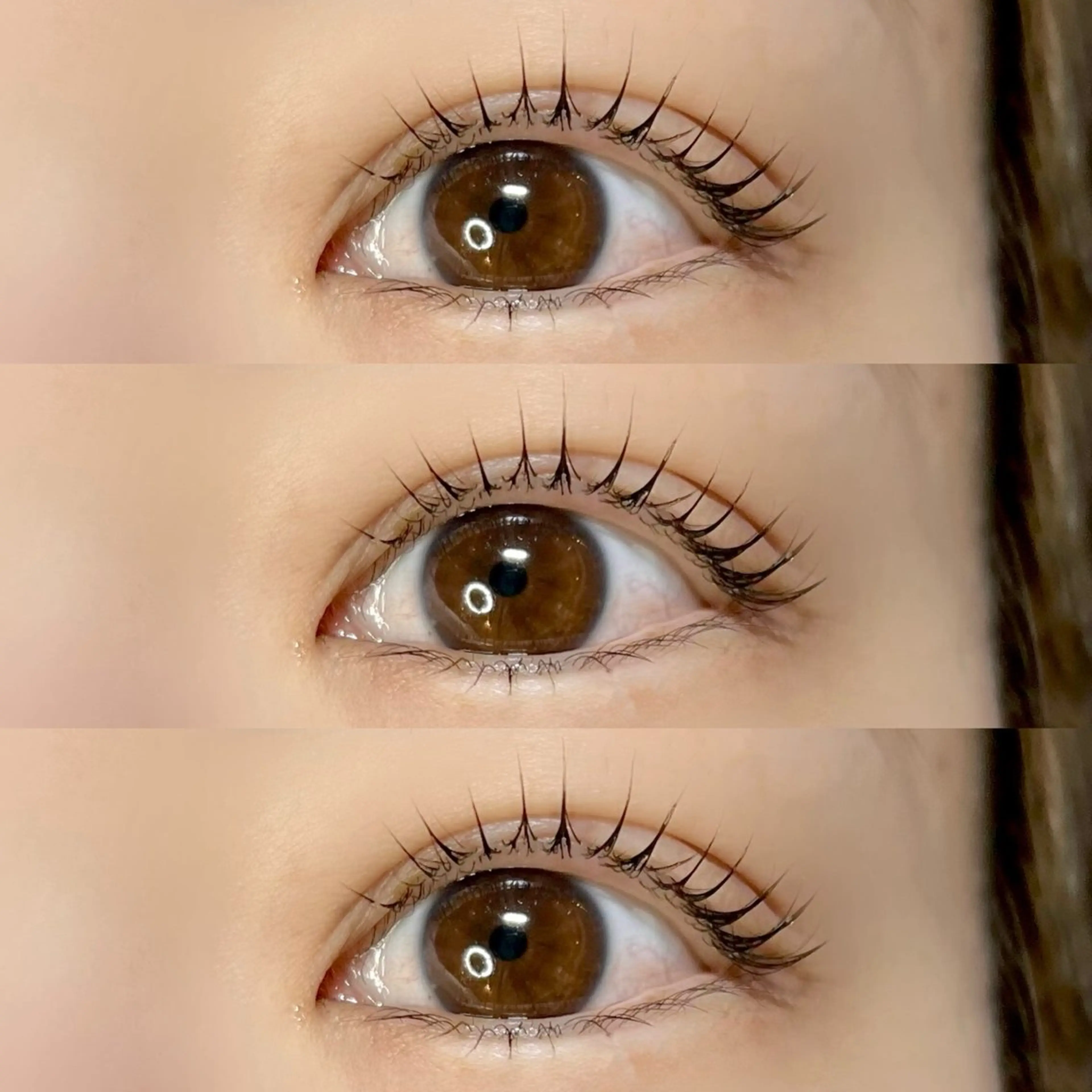 マツエク・マツパ Alii所属・Alii はるきの眉毛・アイブロウイメージ